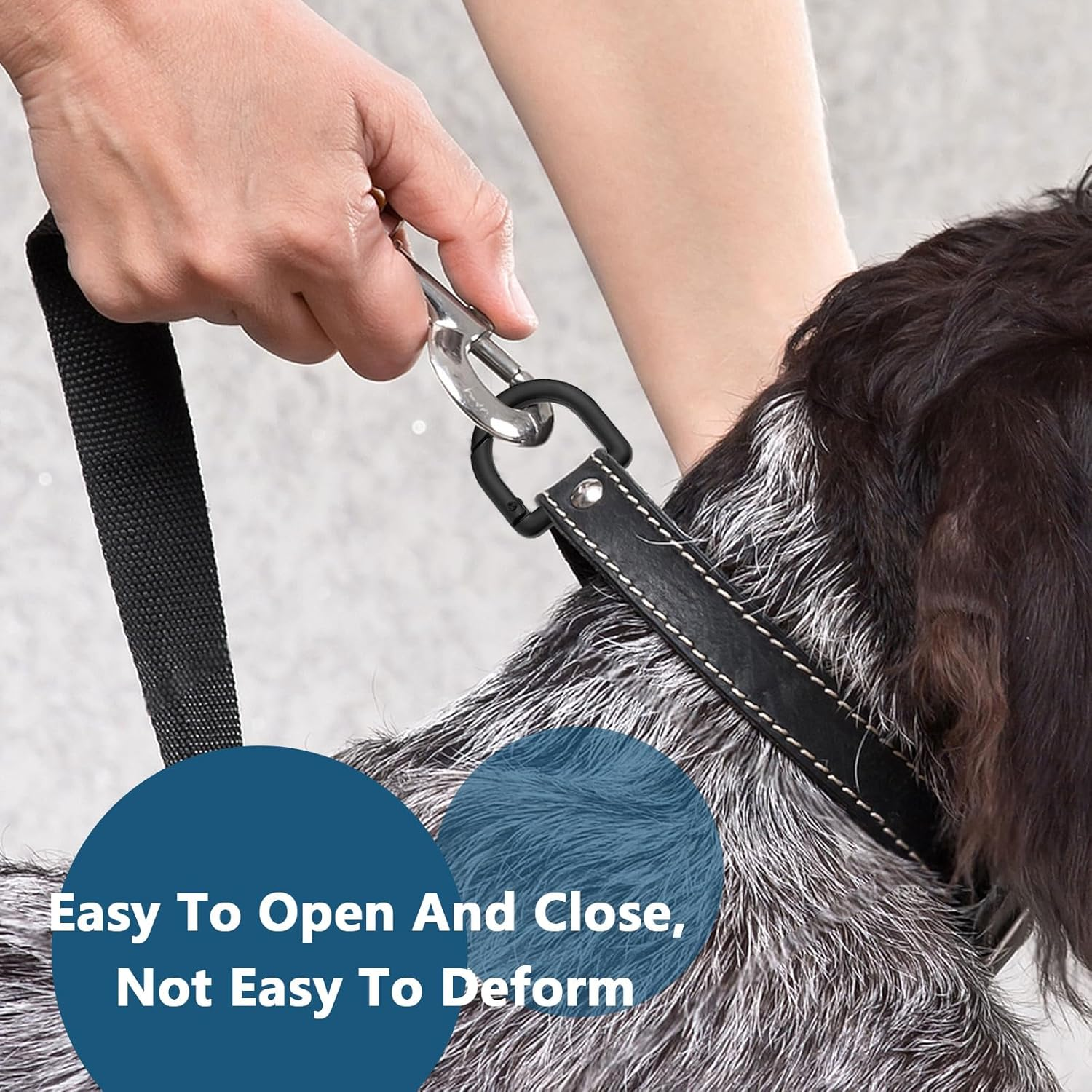 NEETUE 8 Pcs D Ring Clips Metal Key Ring 1 Inch Carabiner D Rings for Purse D Ring Spring Key for DIY Accessories Crafts image number 4