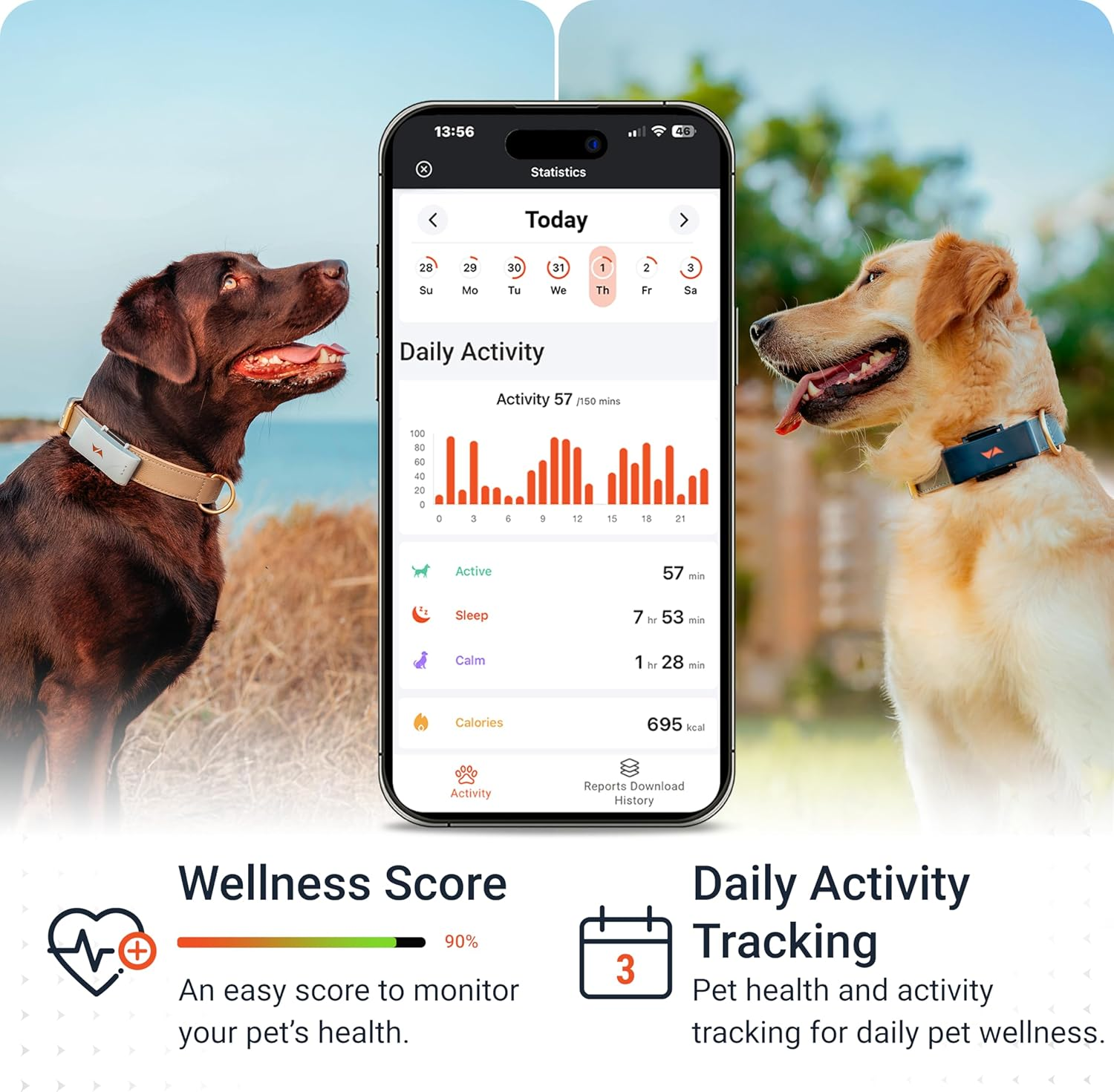 PAJ PET Tracker for Dogs - Worldwide Live Tracking + Health Monitoring + Runaway Alerts - up to 10 Days Battery Saver - Glowing LED Cases - Waterproof (IP67) - Fits Any Collar - Black - Blue image number 3