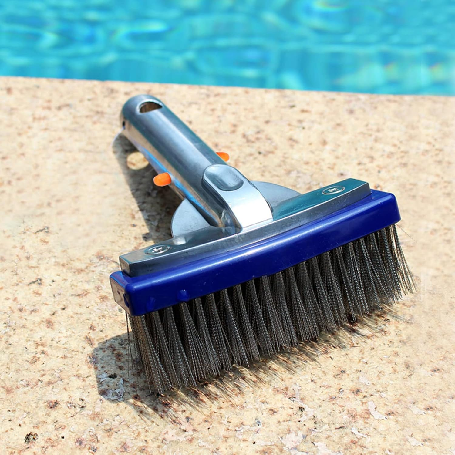 Swimming Pool Stainless Steel Brush, 5.5In, Easy to Glide, Easy Installation, for Spa Pond Floor Wall Cleaning Equipment
