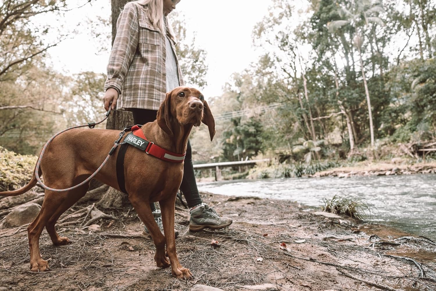 EZYDOG Summit Lead Write Dog Lead 6Mm Red