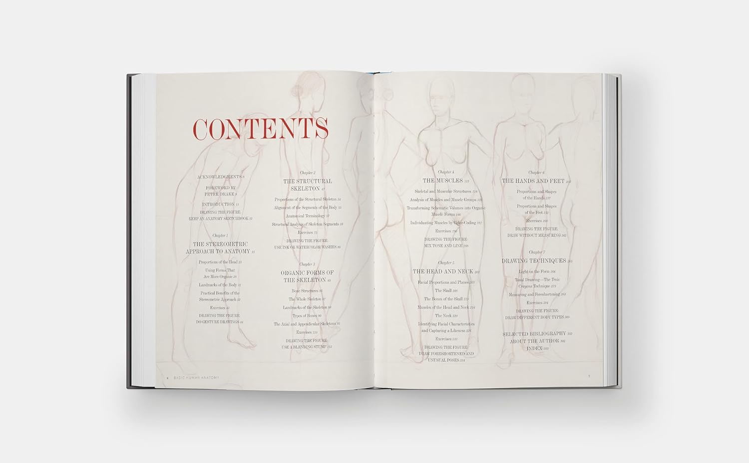 Basic Human Anatomy: an Essential Visual Guide for Artists image number 2