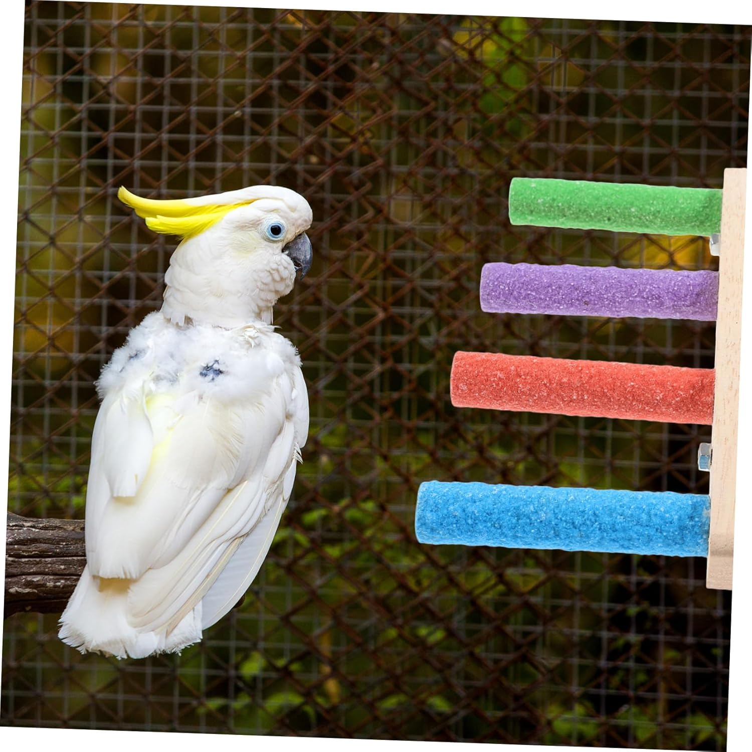 Milisten Parrot Climbing Ladder and Claw Grinding Perch Stand, Bite-Resistant Wood Plaything with Four-Section Ladder, Bird Cage Accessory for Budgerigars and Small Parrots, Indoor Playground Toy image number 2