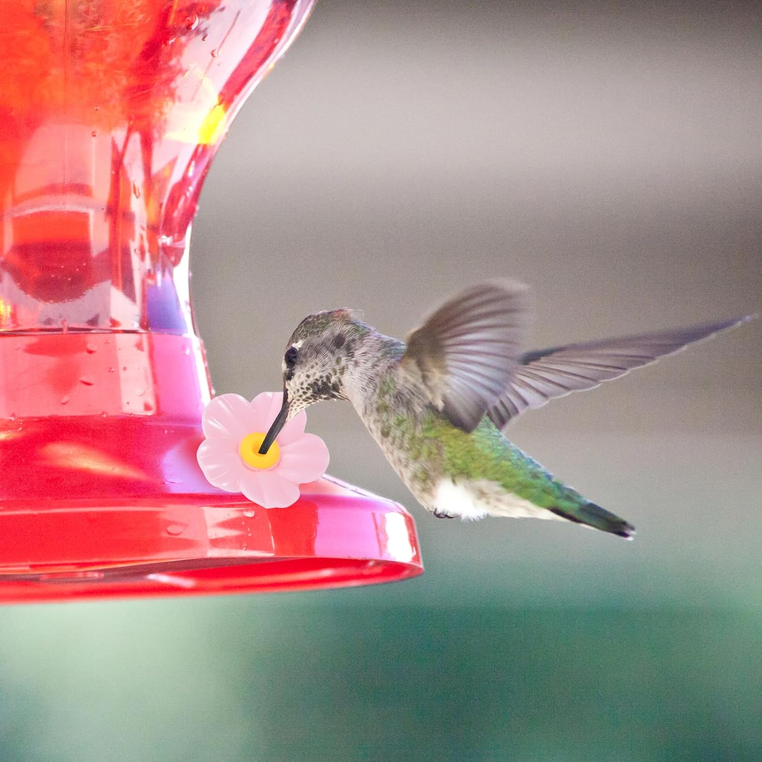 BOXOB 20Pcs Hummingbird Feeder Replacement Flowers, Pink Outdoors Hanging Hummingbird Feeder Parts with Brushes Bee Guards & Feeding Ports (Yellow Core) image number 4