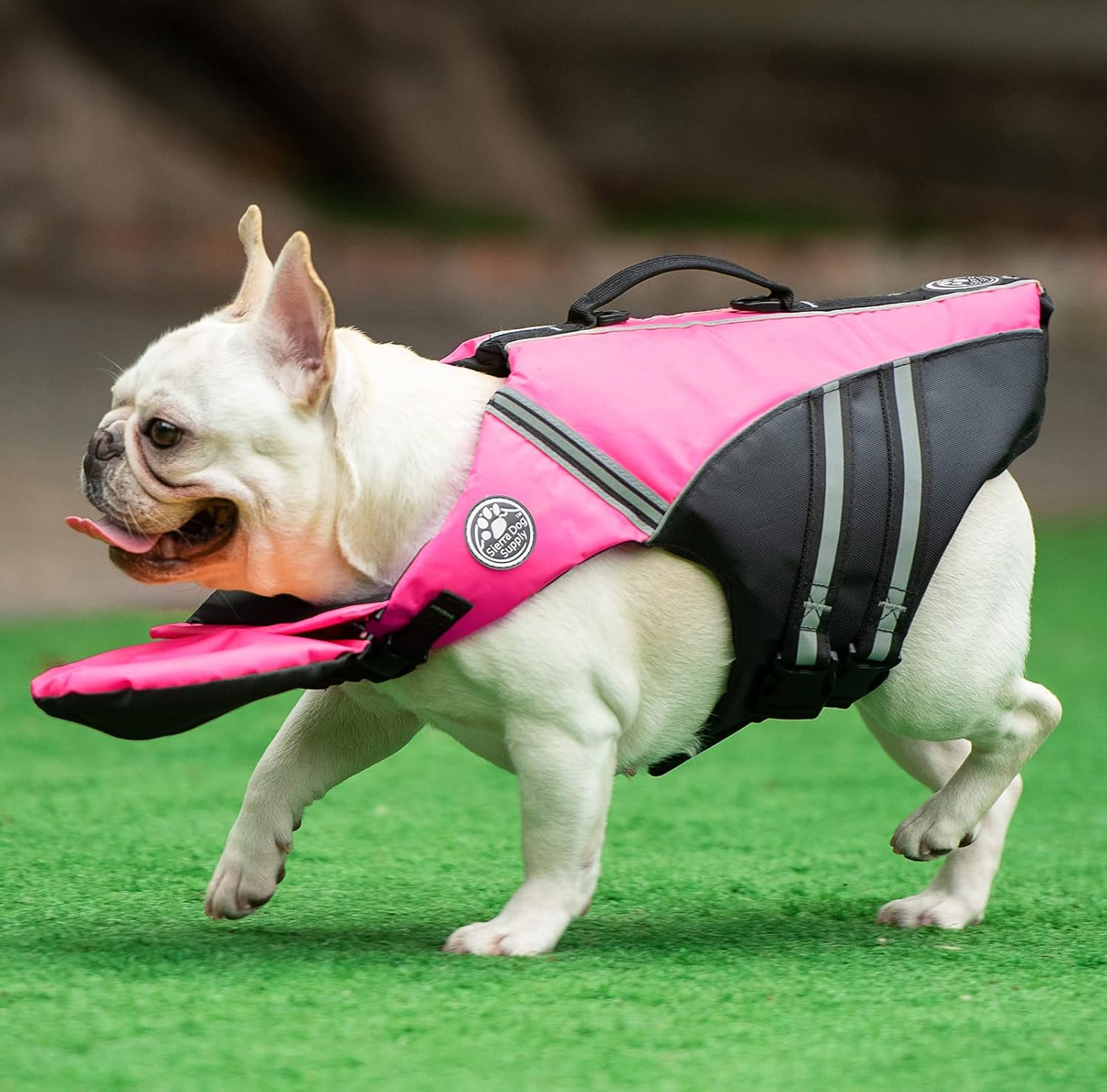 French Bulldog Life Jacket - Professional Dog Safety Vests for Swimming, Superior Buoyancy & Rescue Handle (Chest Girth: 17"-30" Weight: 17-28LB)
