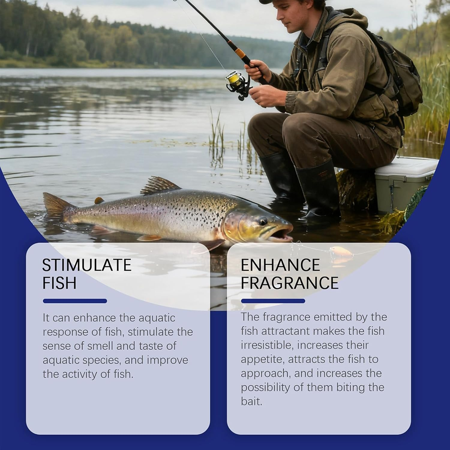 Fish Food | Decapsulated Brine Shrimp Eggs Angling Accessories - Fishing Bait Additive - for Breeders Hobbyists Anglers Aquariums Ponds Lakes Stream River Reservoir