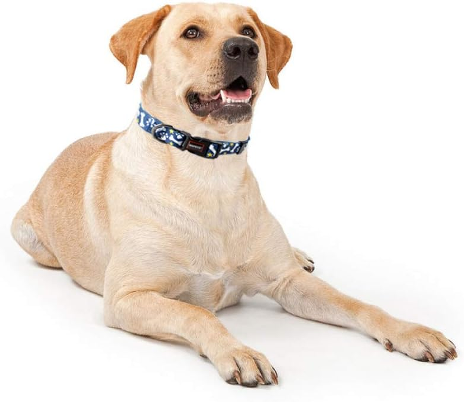 QQPETS Dog Collar Personalized Soft Comfortable Adjustable Basic Collars Small Dogs Walking Running Training (S, Bone) image number 1