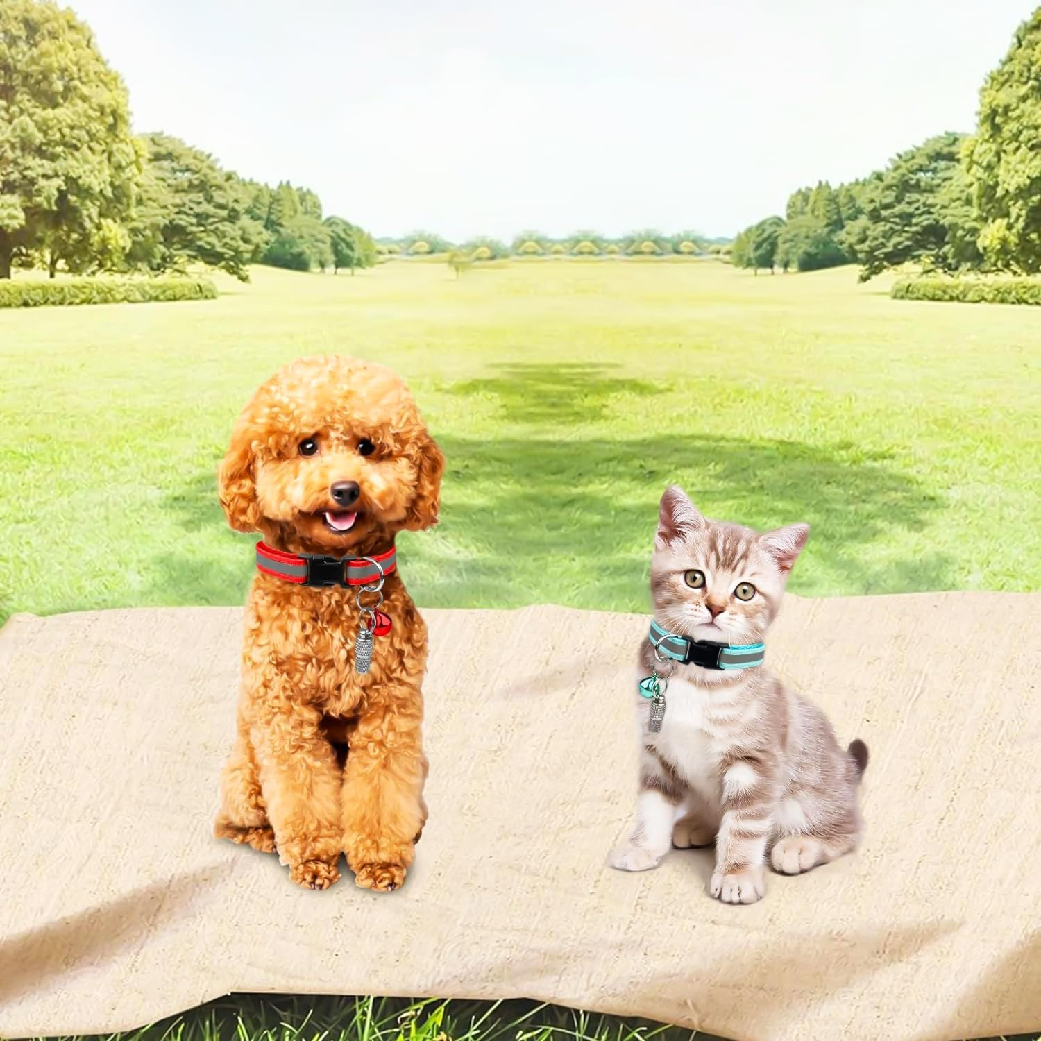 Cat Collar, Pack of 6 Collars Cat Collars with Safety Clasp, Pet Collar, Dog Collar, Cat Collars with Bell, Reflective Cat Collar, Adjustable image number 1