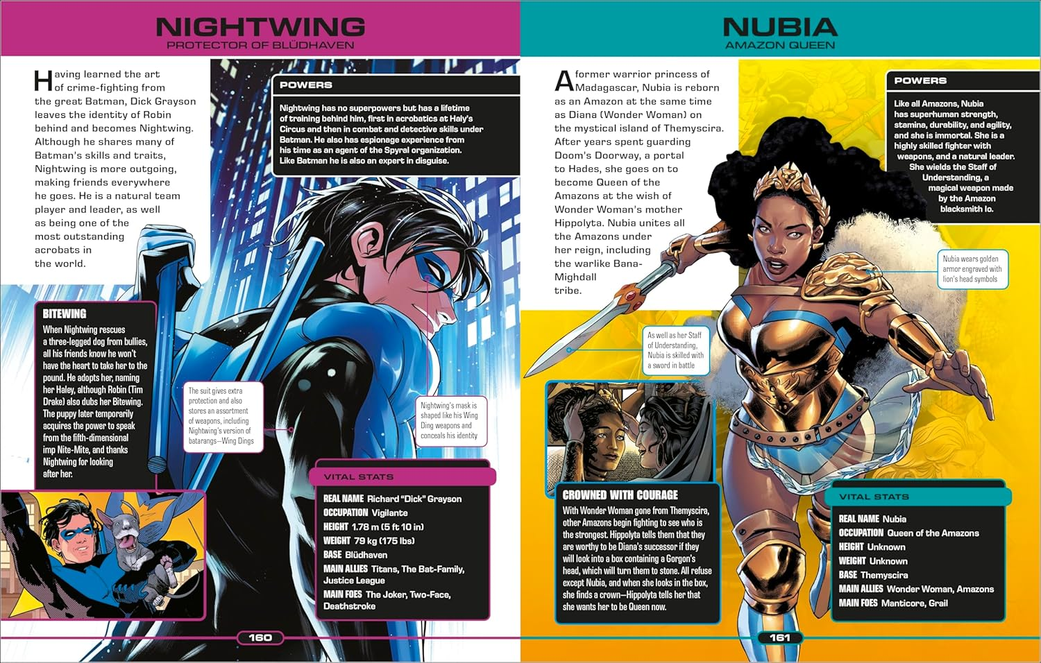 DC Ultimate Character Guide New Edition image number 2