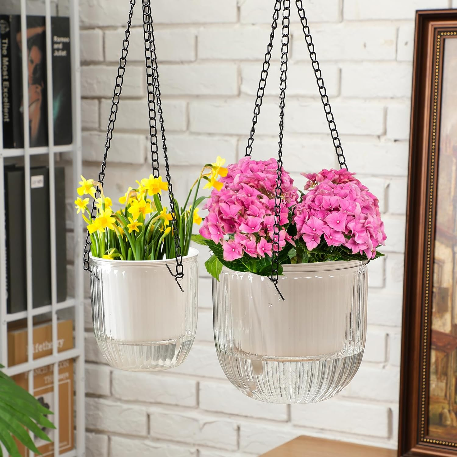 Maxcheck 4 Pcs Self Watering Hanging Planters Indoor Gift 6.5'' 4.5'' Hanging Flower Pots Baskets Outdoor Self Watering Plant with 3Hooks Drainage Holes for Home(Emerald,Clear) image number 5