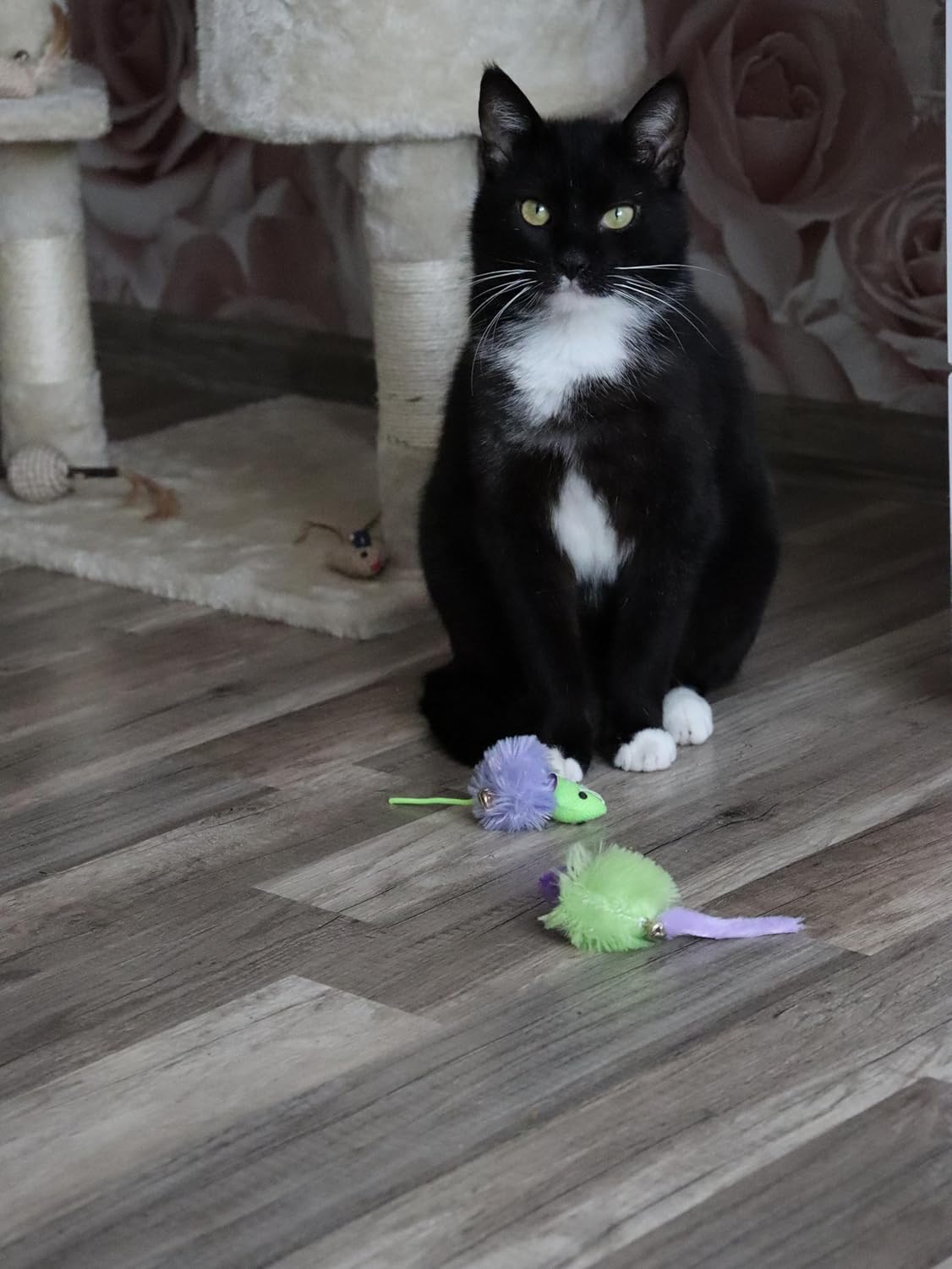 Dingo Party Cat Toy Set: 2 Fluffy Fabric Mice with Bells for Playing and Hunting. Lightweight Pet Toys in Green and Purple (21194)