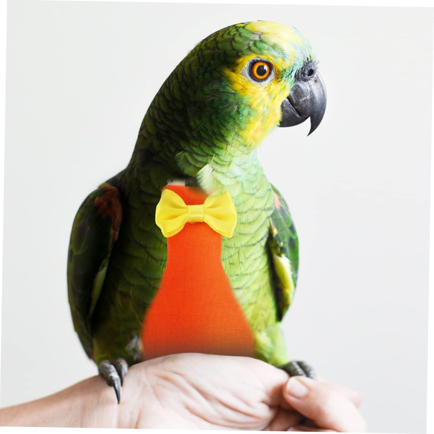 NOLITOY Parrot Diaper Clothes Bird Diaper for Birds Cockatiel Parakeet Outdoor Flight Suits Pigeon Pants image number 5