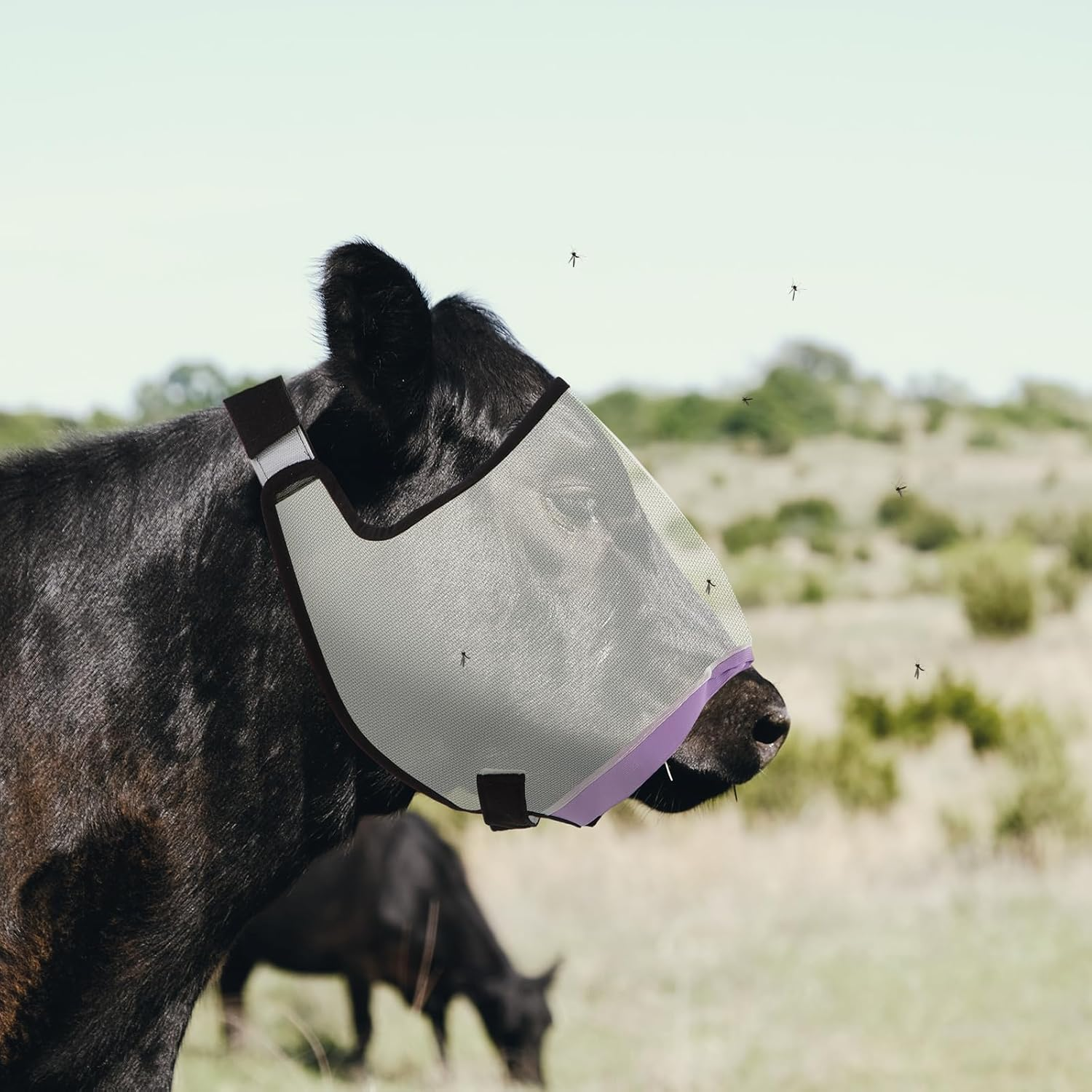 Abbylike 2 Pcs Cattle Livestock Fly Mask Breathable Mesh Padded Adjustable Fit for Cattle image number 3