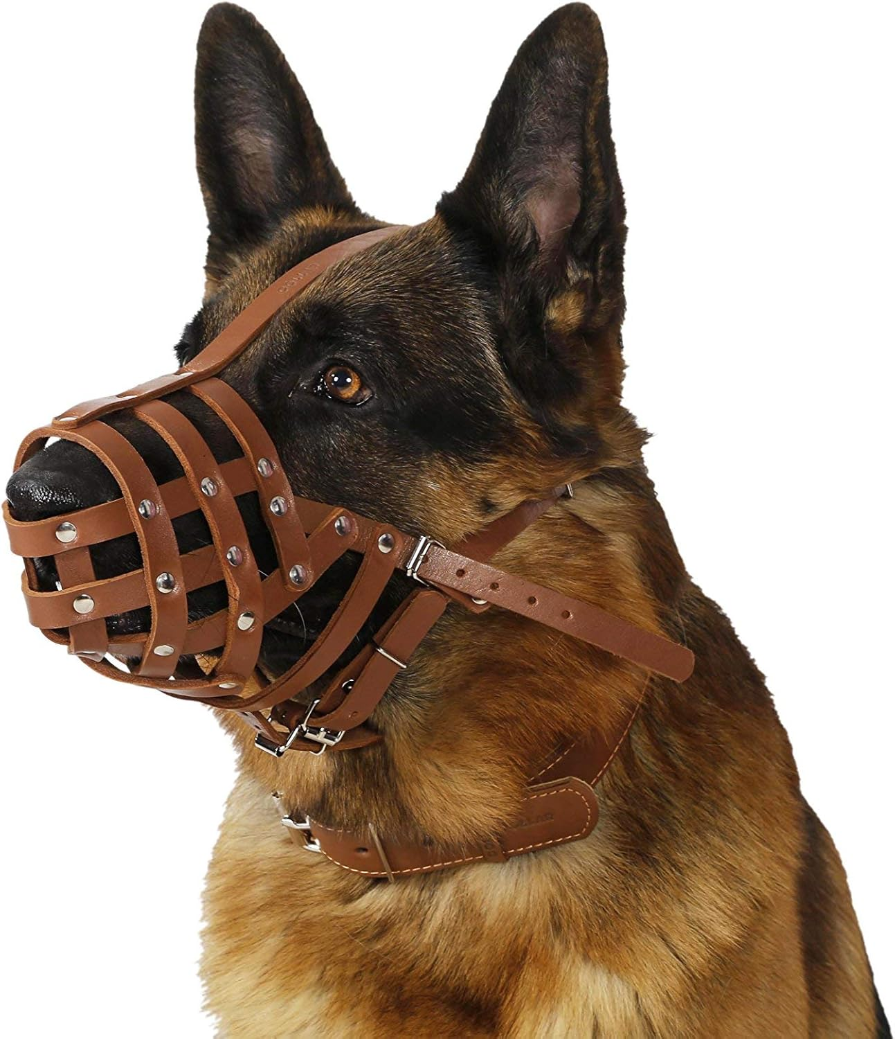 Collardirect Dog Muzzle German Shepherd Dalmatian Doberman Setter Leather Basket Medium Large Breeds Black Brown (Brown, Large) image number 1