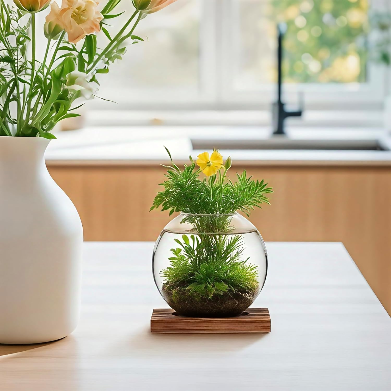 Desktop round Glass Planter Propagation Stations - Propagation Vases Plant Terrarium Propagation Jars with Wooden Stand for Propagation Hydroponic Water Plants Home Office Decor,2 Pack,Brown image number 3