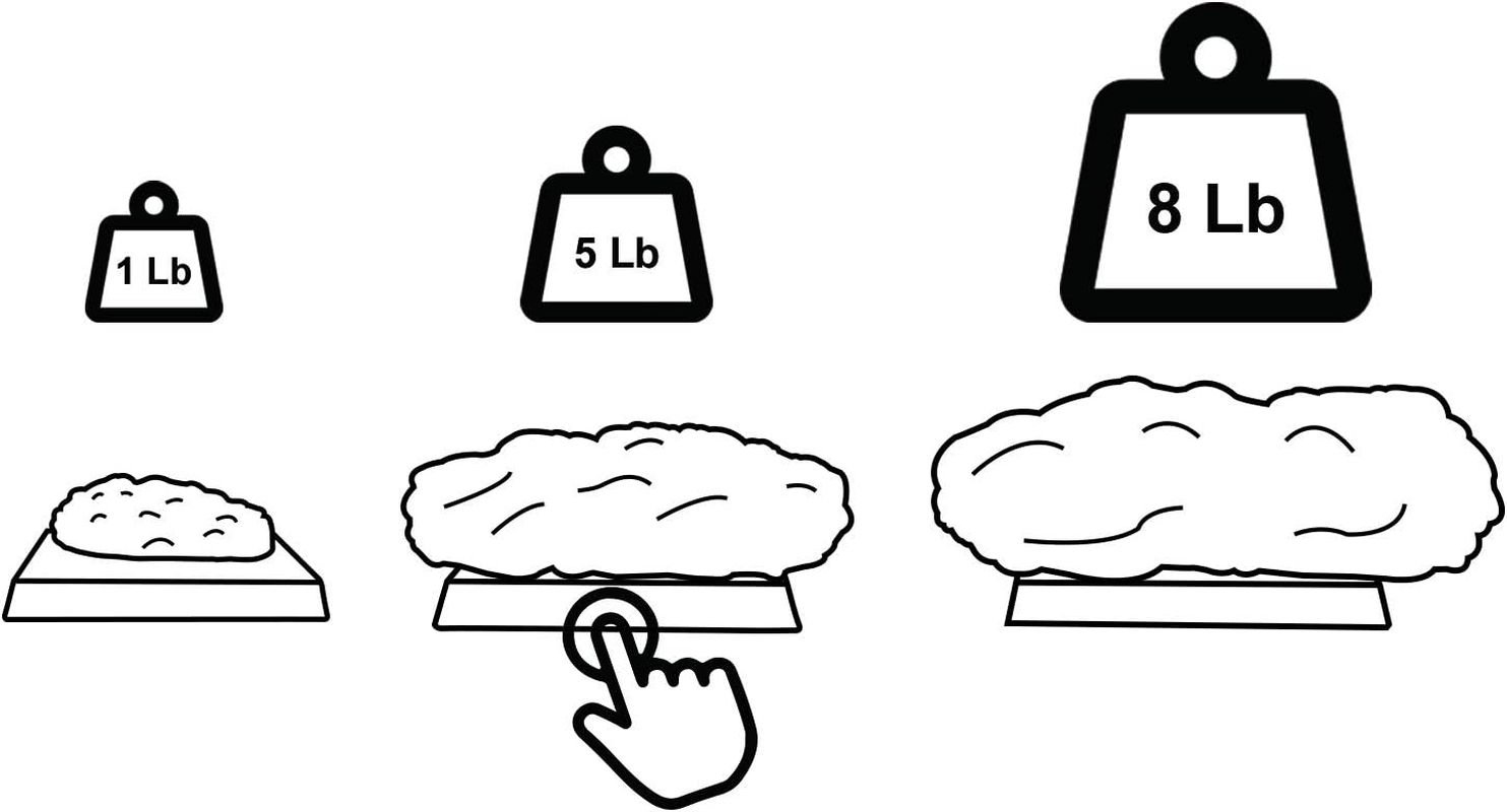 Authentic Human Body Fat Replica - 5 Lb, Keep Fit & Weight Loss Motivation & Reminder, Human Fatty Tissue Demonstration Model for Nutritionist, Anatomical Science Course for Medical Student image number 1