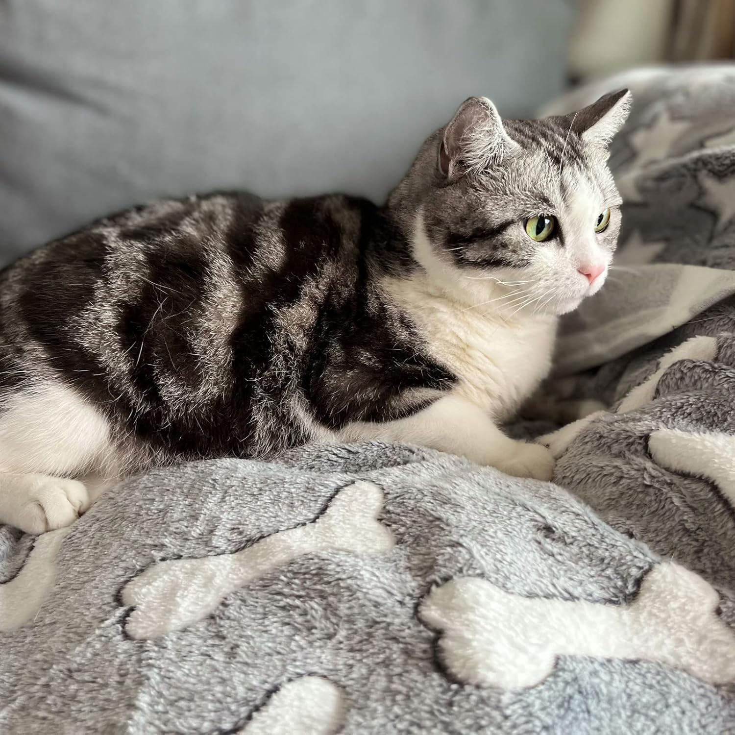 1 Pack 3 Puppy Blankets Super Soft Warm Sleep Mat Grey Cute Print Blanket Fluffy Fleece Pet Blanket Flannel Throw Dog Blankets for Small Dogs Puppy Dogs Fluffy Cats,Bone-Medium(29"X20") image number 4