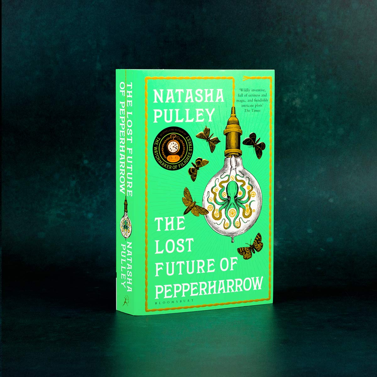 The Lost Future of Pepperharrow image number 4