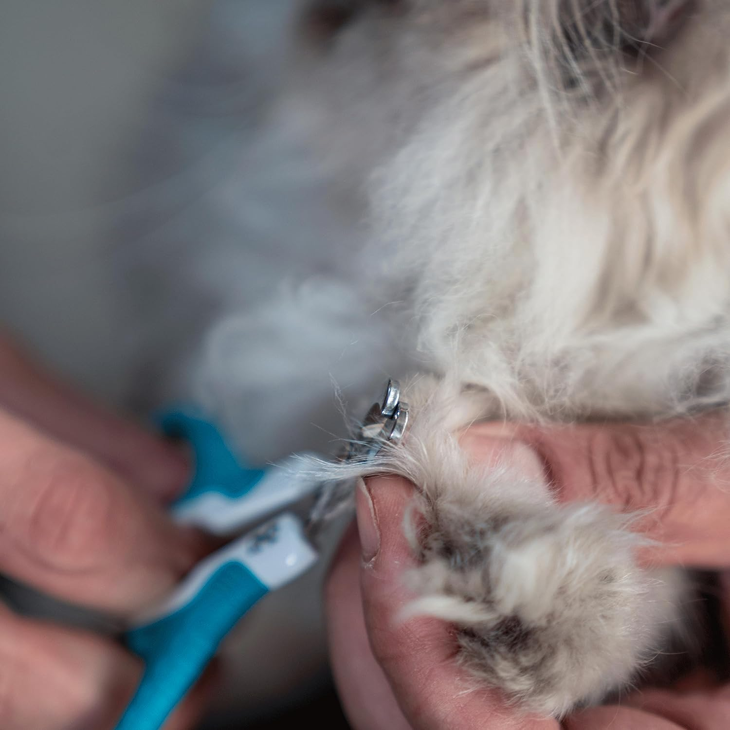 Mr. Pen- Cat Nail Clipper, Kitten Nail Trimmers, Pet Nail Cutter - Brown image number 6