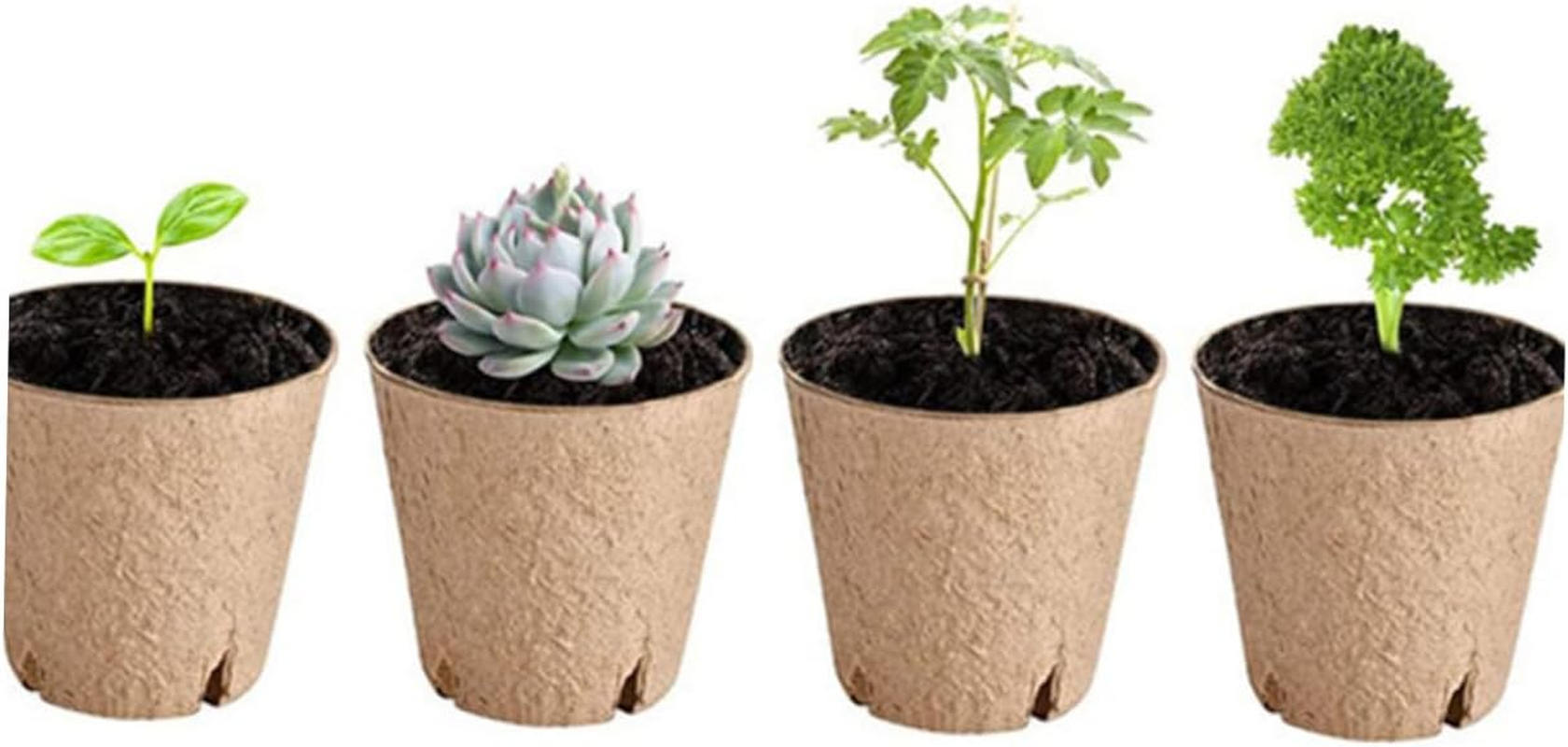 TOBBOMEY 50Pcs Pots round Paper Pulp Nursery for Easy Planting and Transplanting Drainage for Indoor and Outdoor Gardening image number 5