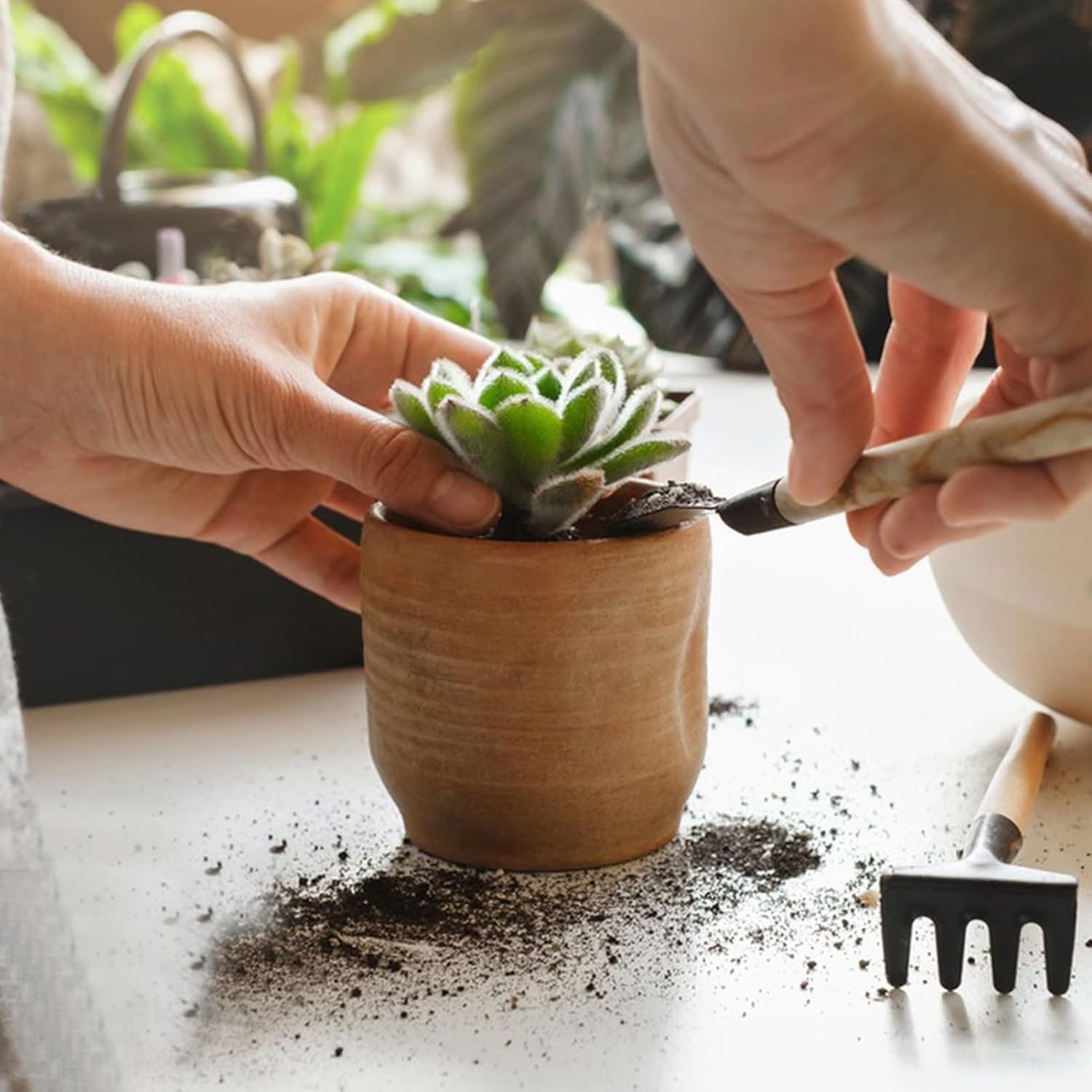 JMEDIC Gardening Tool Set - Garden Plants Transplanting Supplies - Garden Plants Transplanting Supplies, Multifunctional Bonsai Tool Kit for Potting image number 3