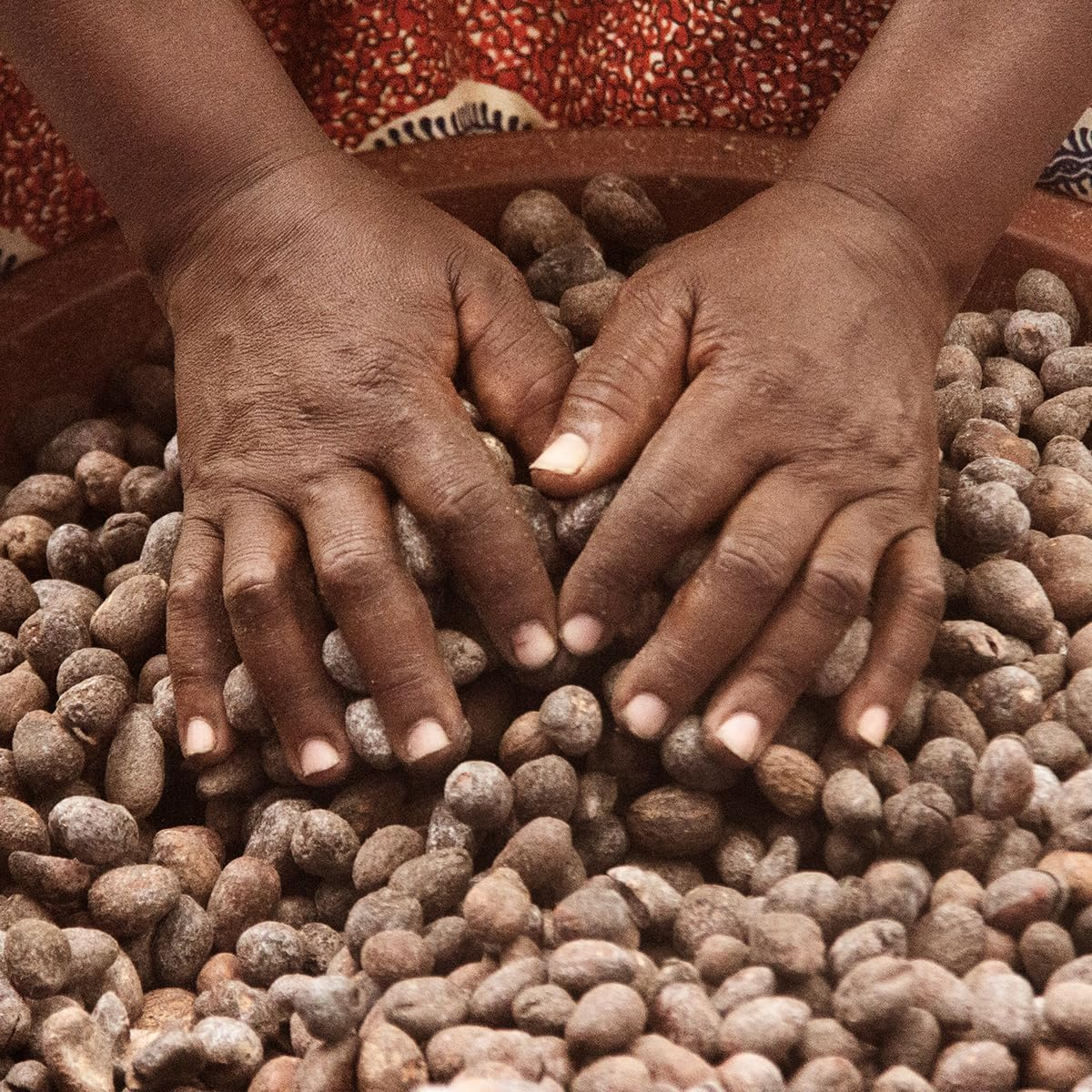 L'Occitane Hugs & Kisses Shea Butter image number 3