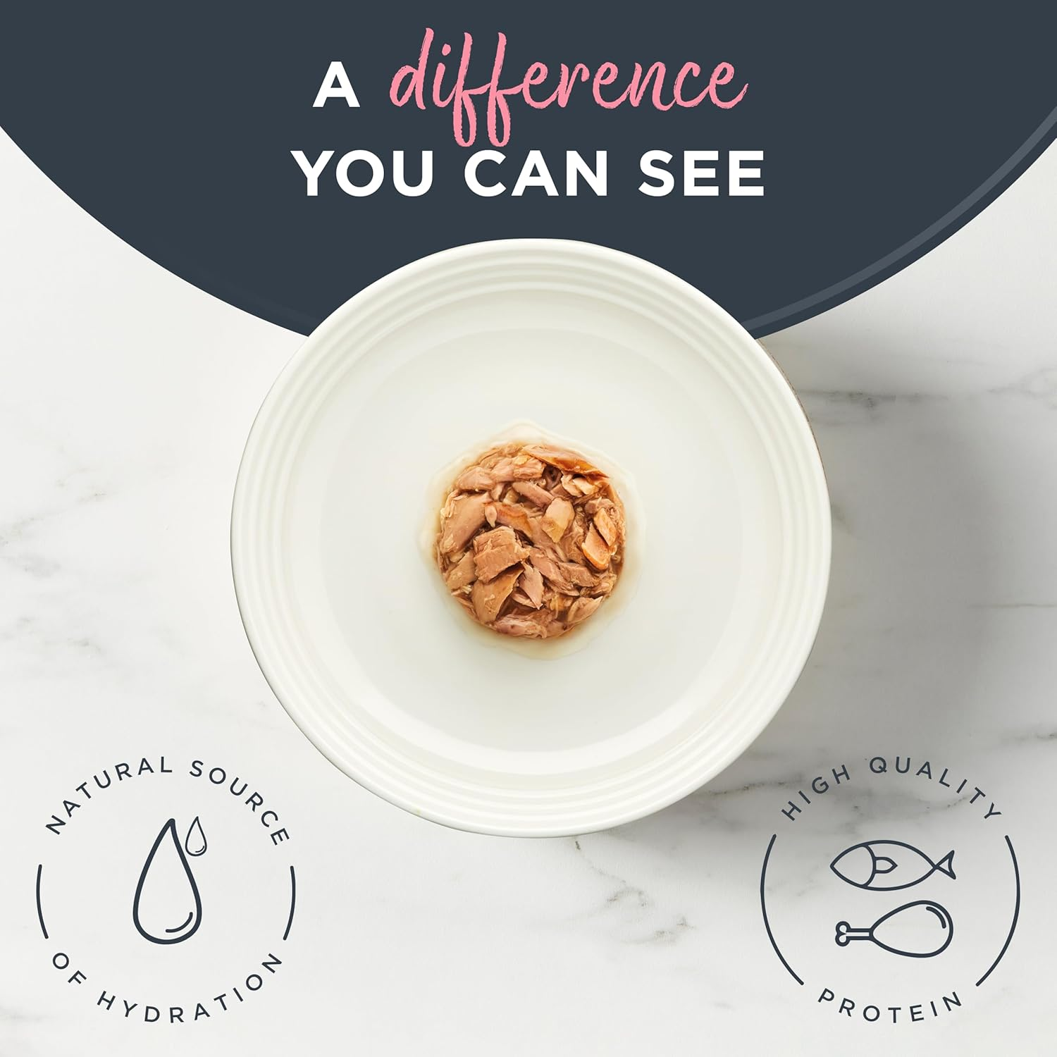 Reveal - Grain Free | Wet Canned Cat Food | 70G - 24 Pack - Premium Nutrition, 100% Natural, No Additives, and Limited Ingredients (Tuna with Salmon in Gravy)