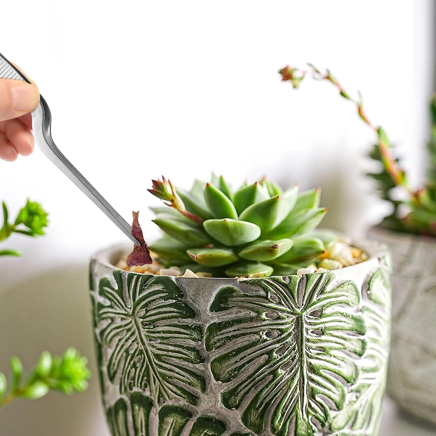 EXEXIUO 3Pcs Long Tweezers for Plants, Stainless Steel Needle Nose Tweezers Set for Succulent Gardening and Kitchen image number 6