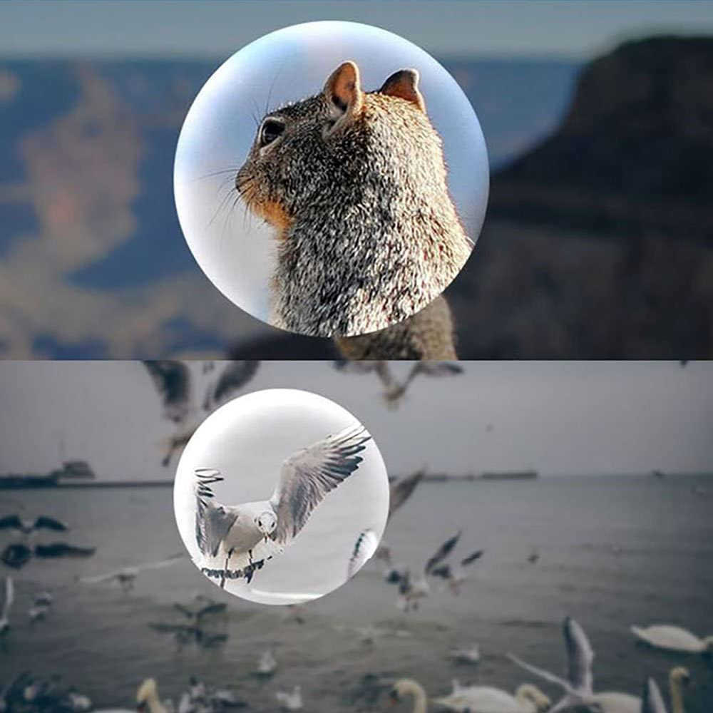 Mini Compact Lightweight 8X21 Small Binoculars for Concert Opera Sports Game Outdoors Hiking Travel Kids Bird Watching image number 1