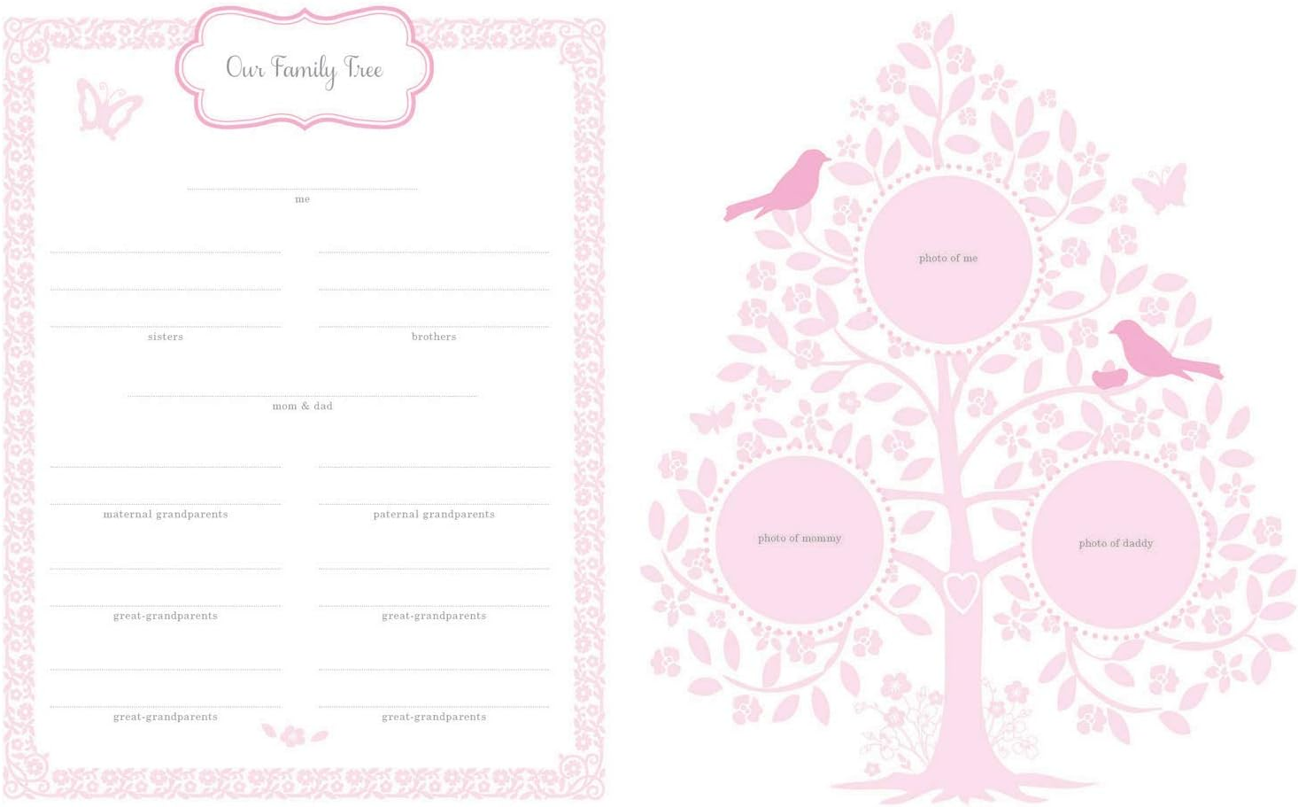 C.R. Gibson First 5 Years Memory Book, Record Memories and Milestones on 64 Beautifully Illustrated Pages - Bella image number 4