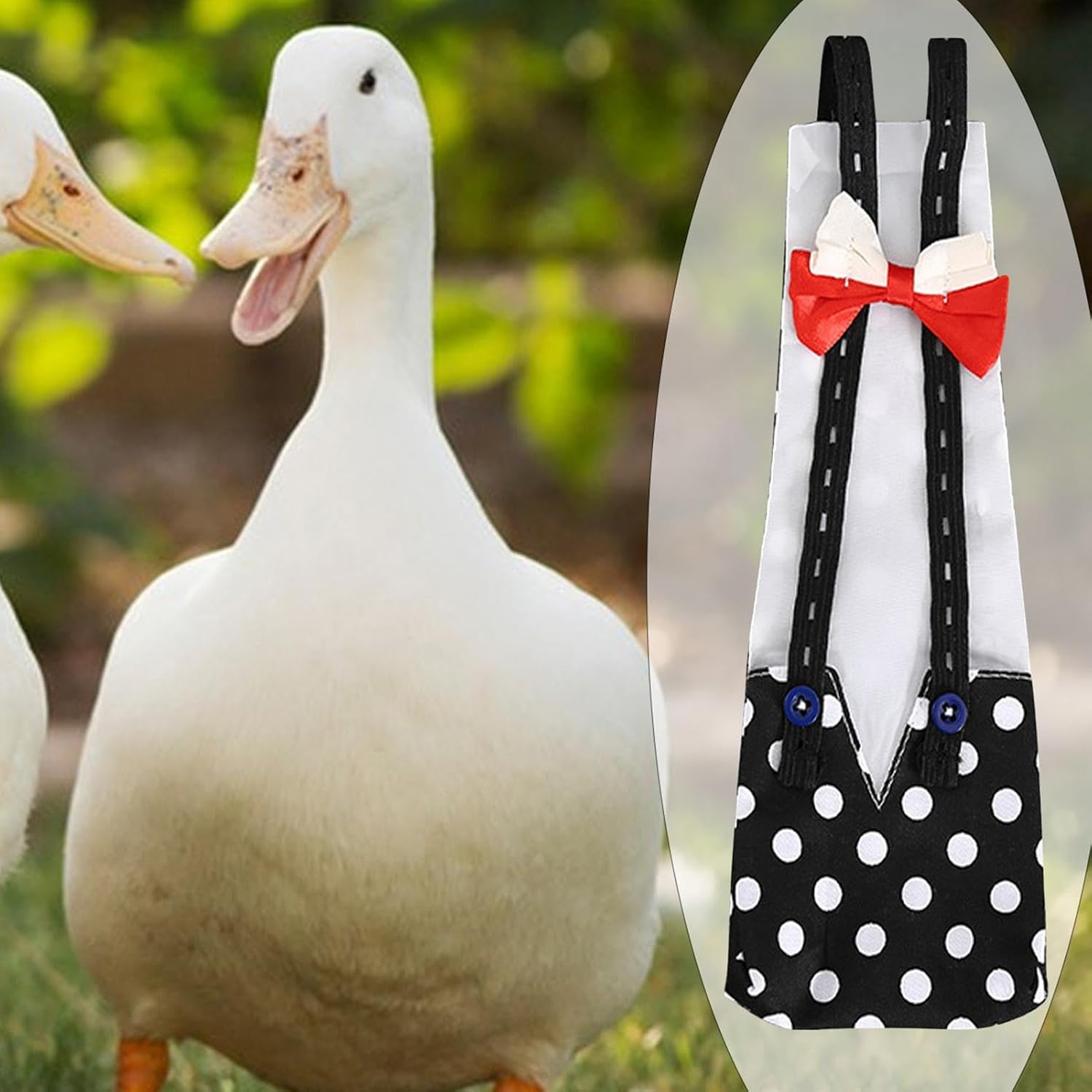 Chicken Nappies, Nappies for Ducks, Poultry Nappies for Pets, Adjustable Duck Nappies, Washable Chicken Nappies, Reusable Nappies for Poultry, Chicken and Duck Supplies image number 1