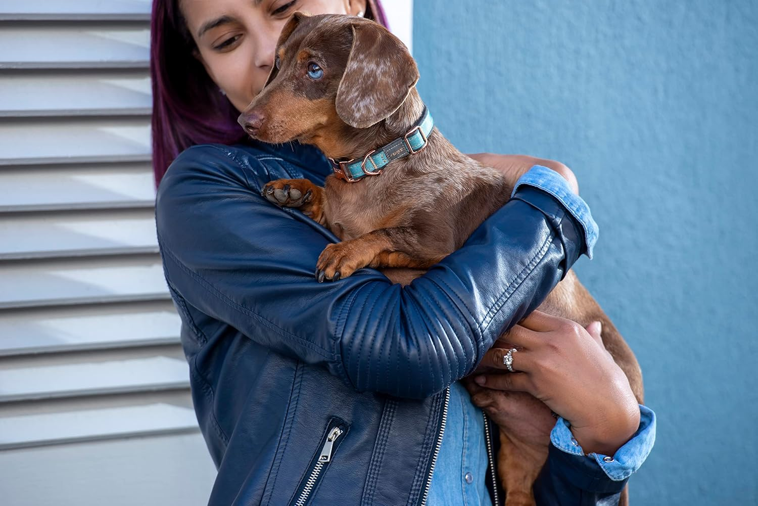 Rogz Classic Urban Dog Collar Turquoise Medium image number 3