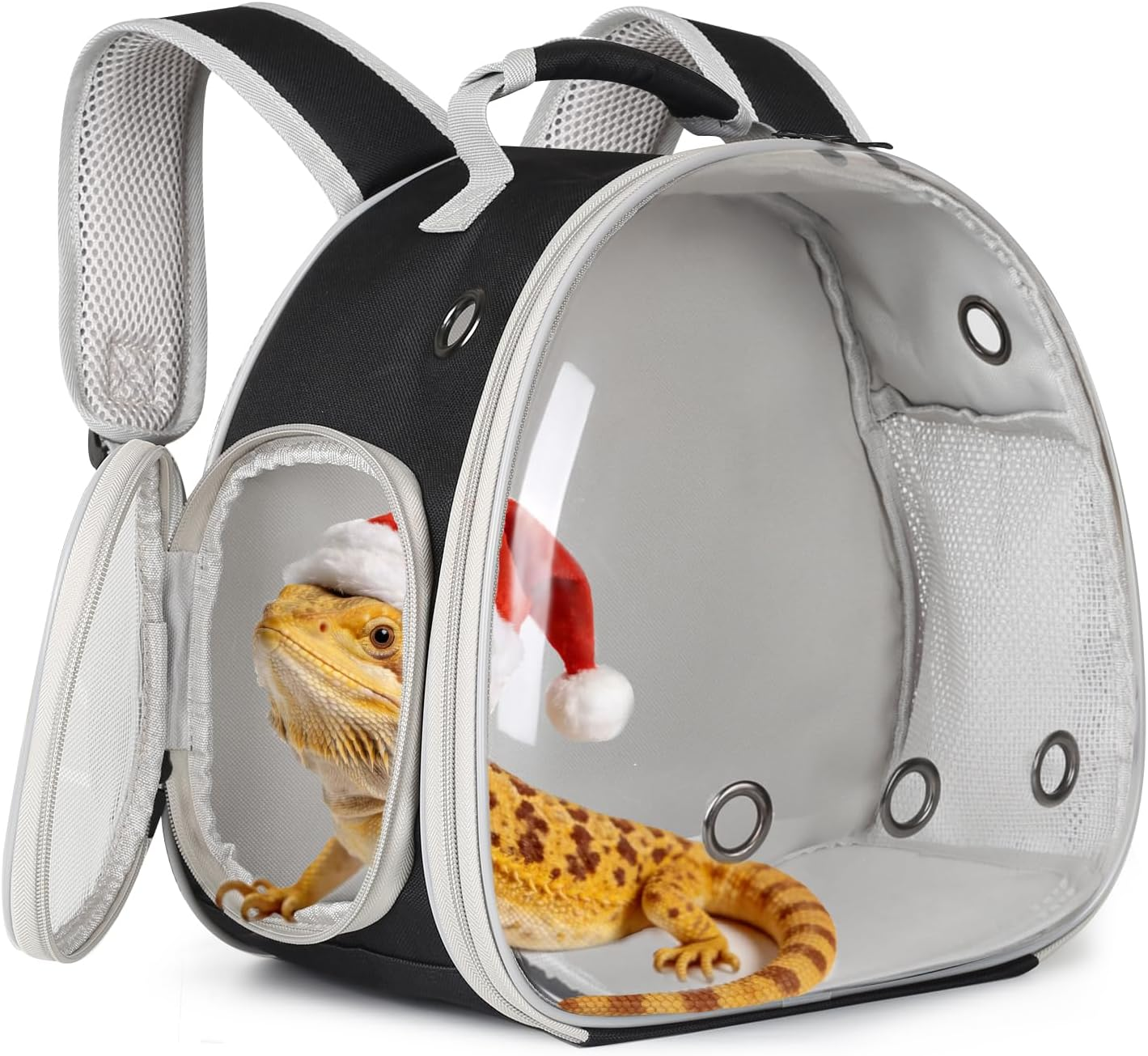 Bearded Dragon Travel Carrier for Lizards, Hedgehog, Rat, Parrot, Bird & Guinea Pig - Portable for 2 (Green)