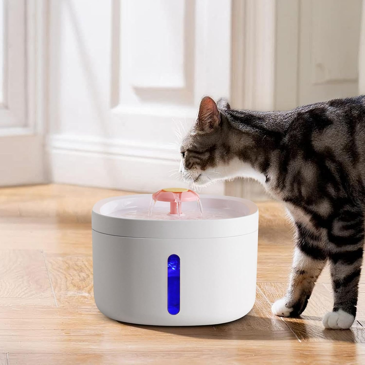 Pet Drinking Fountain, Cat Hydration Bowl, Pump, Large Capacity Fountain, Pump Cat Hydration Fountain with Usb Plug-In for Bedrooms and Dining Rooms. image number 1