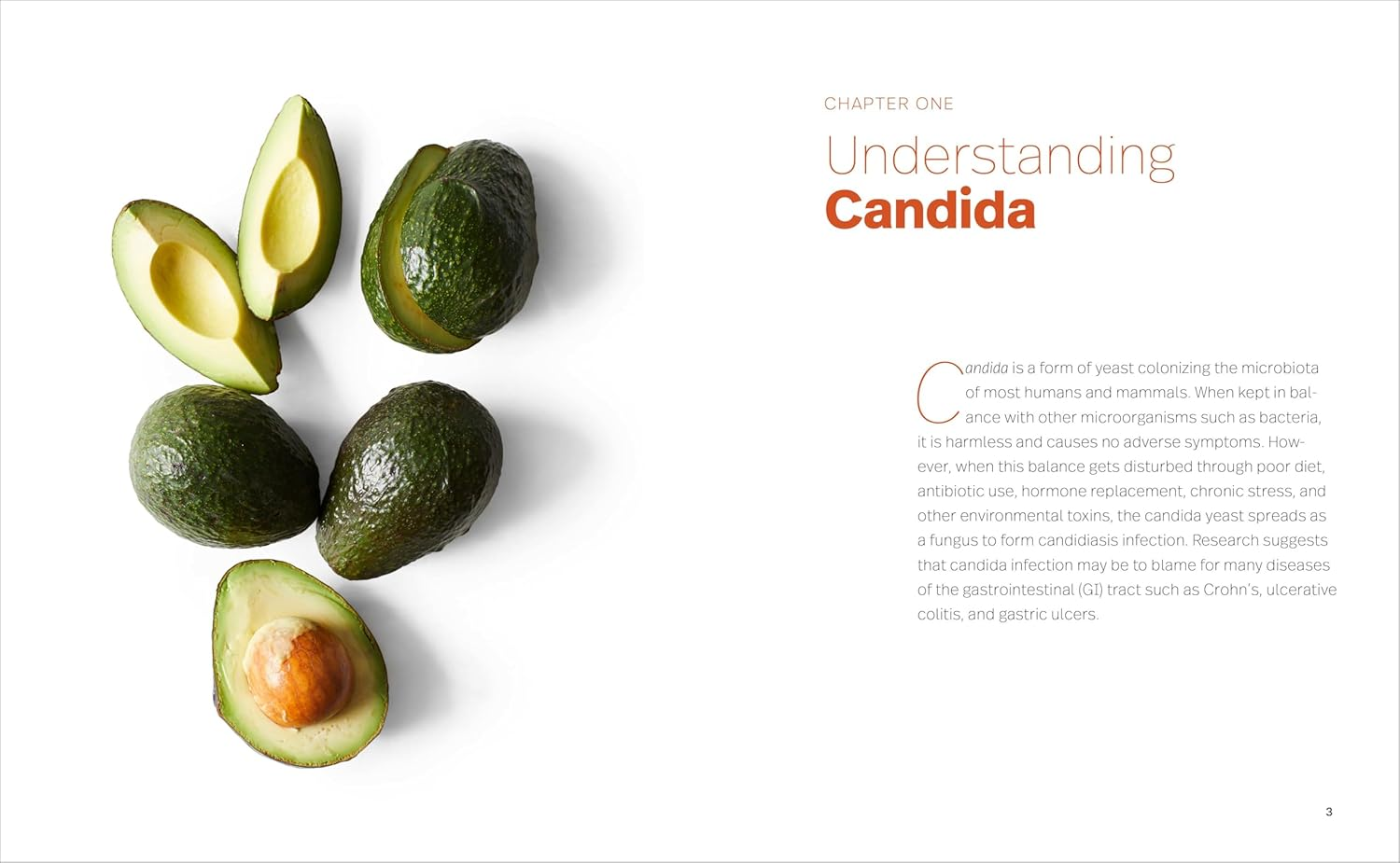 The Natural Candida Cleanse: a Healthy Treatment Guide to Improve Your Microbiome in Two Weeks image number 2