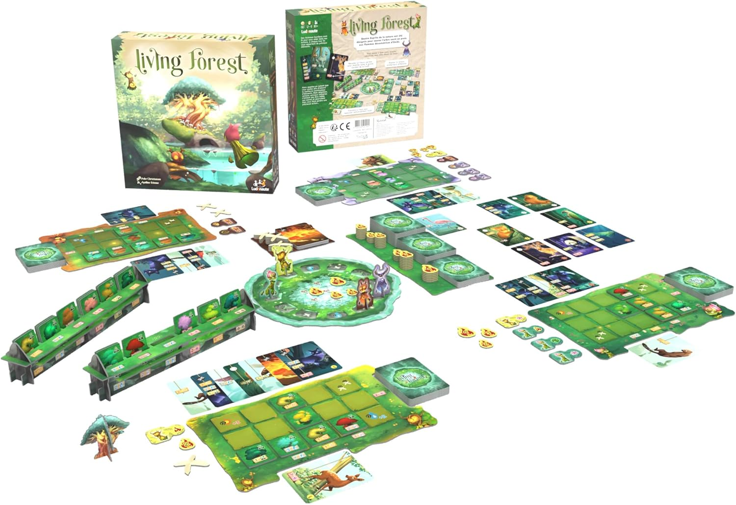 Living Forest image number 5