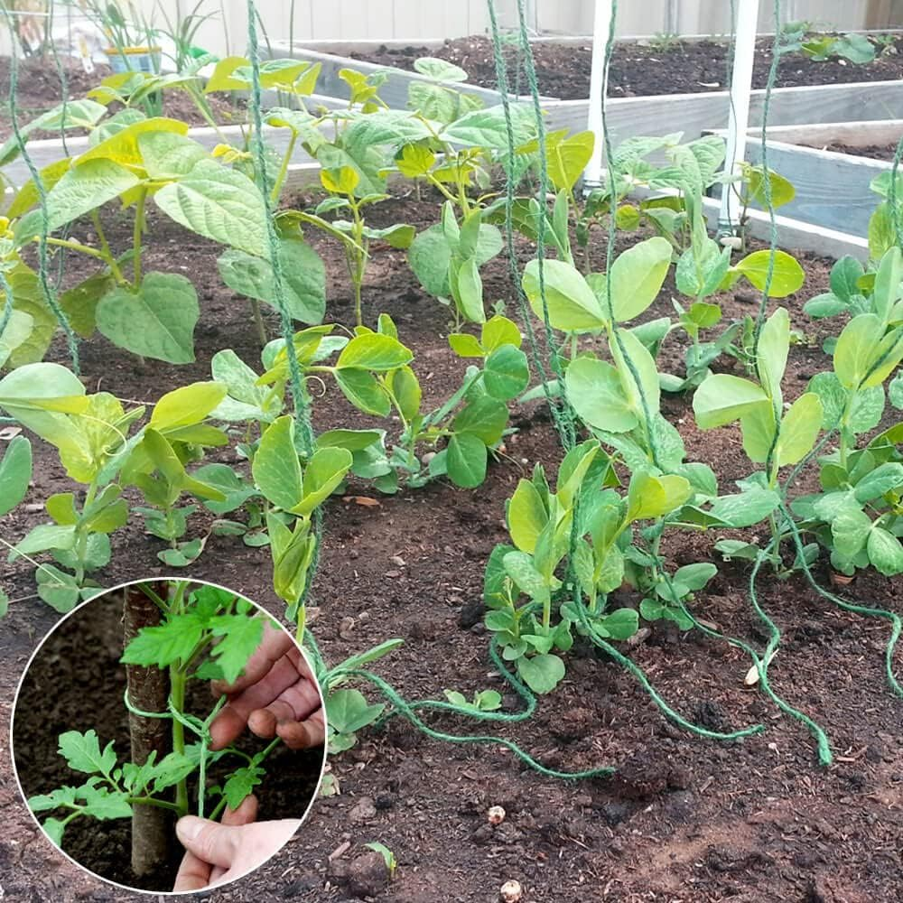 250M Strong Reusable GARDEN TWINE Horticultural Utility Polypropylene String Rope for Supporting Plants, Wrapping and Gardening, Tying down Covers Etc Weatherproof Multiple Use Line Tie (2 Pack) image number 5