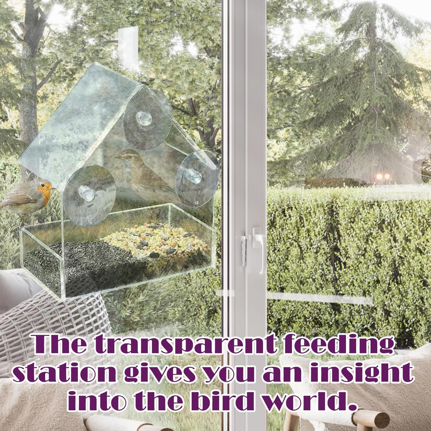 Window Bird Feeder &ndash; Clear Acrylic Bird Feeder for Outdoor Birds, Easy to Mount and Perfect for Bird Watching image number 1
