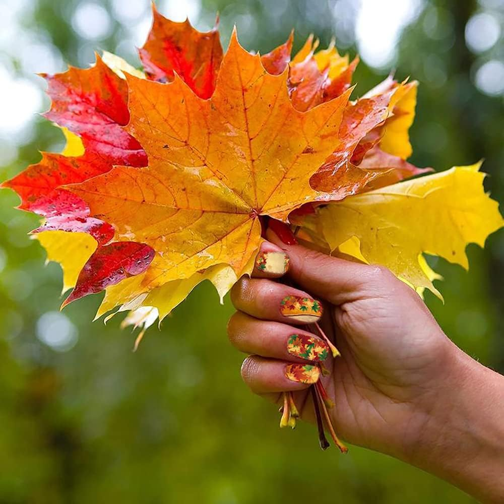 168 Pieces Nail Stickers Self-Adhesive Autumn Nail Stickers Maple Leaves Nail Foil Gold Leaves Nail Foil Autumn Thanksgiving Nail Art Stickers Design image number 1