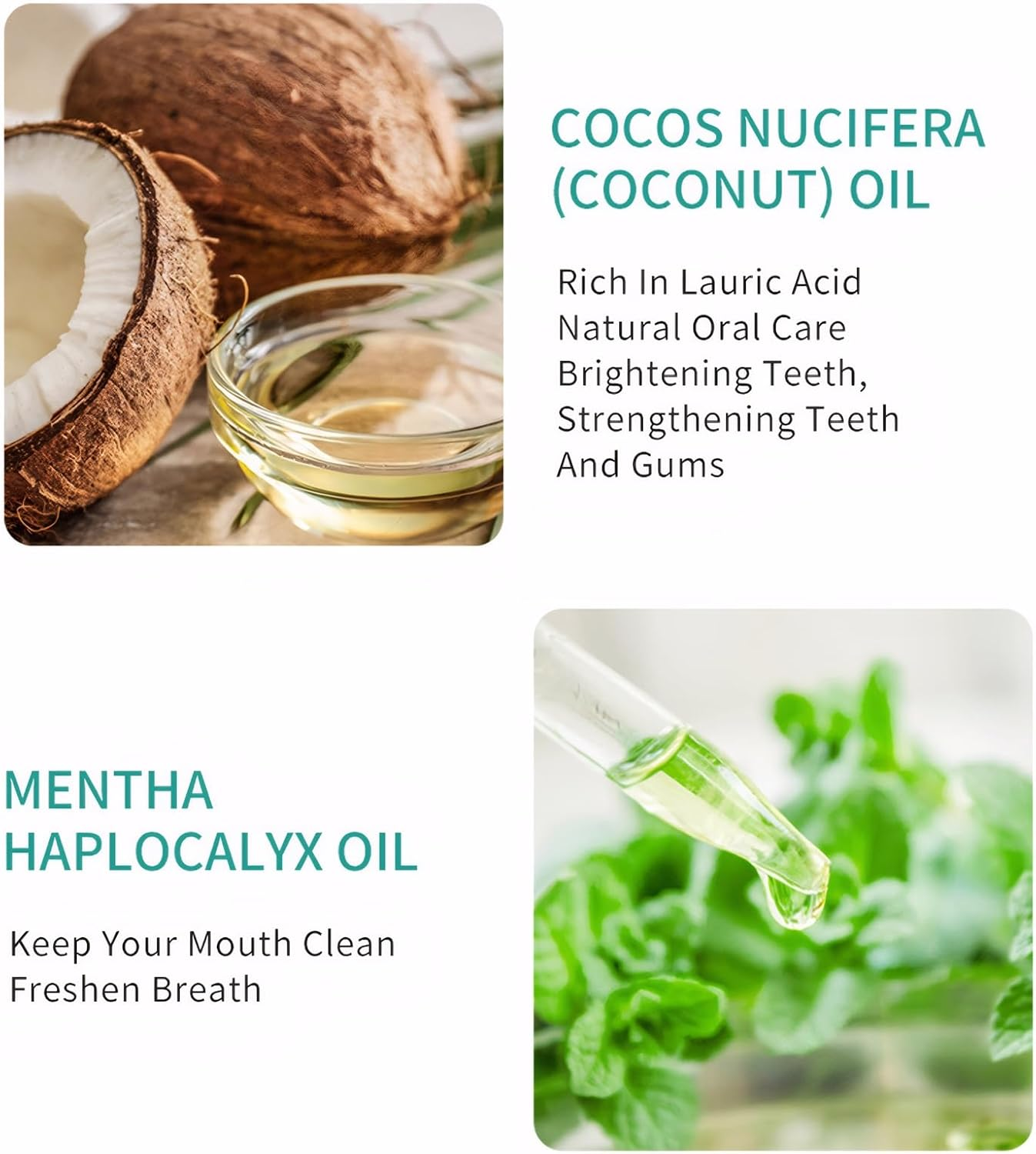Coconut Oil Pulling Mouthwash with Mentha Haplocalyx Oil, 237Ml &ndash; Promotes Fresh Breath, Healthy Teeth & Gums image number 2