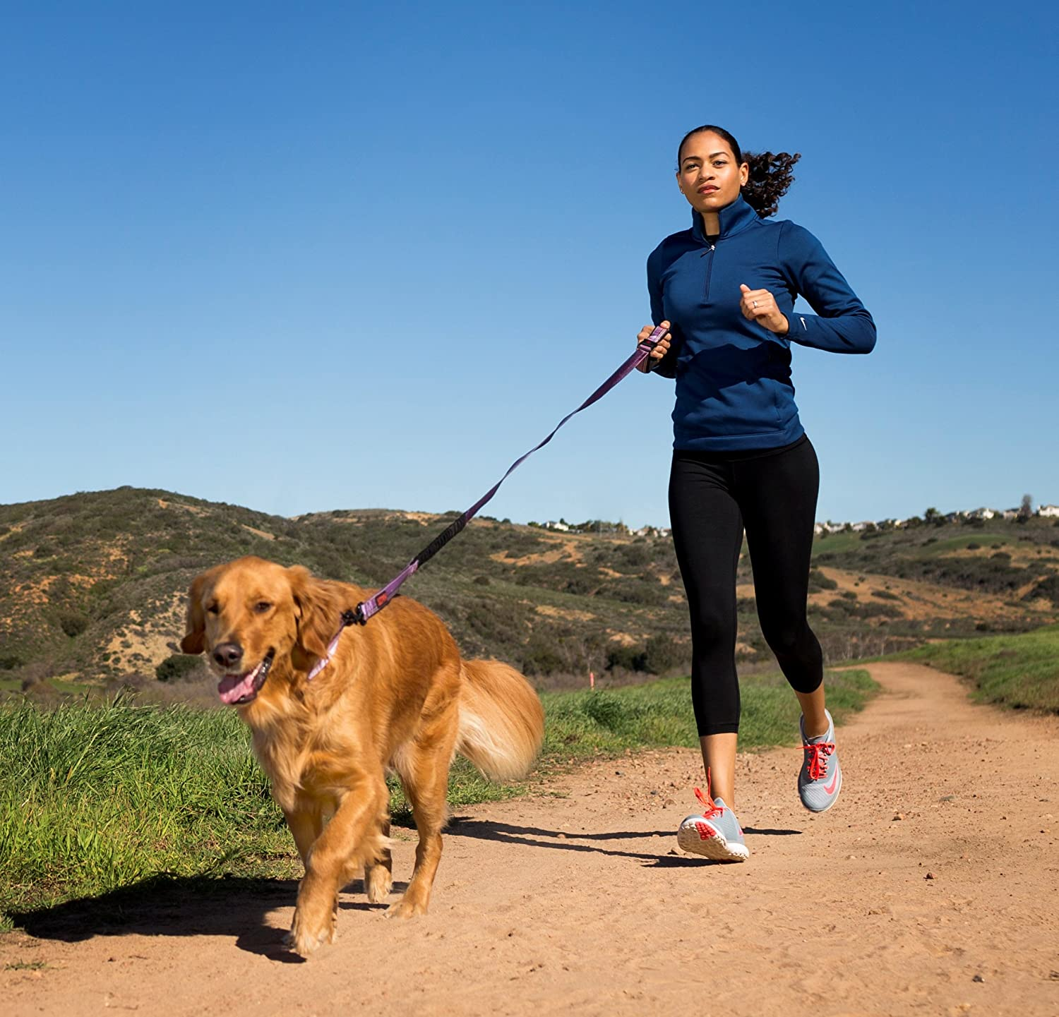 HALTI Active Lead - Award-Winning Bungee Dog Lead, Shock-Absorbing Anti-Pull Dog Leash, All-In-One Neoprene Padded Belt & Lead, Ideal for Running & Training with Medium & Large Dogs (Size L, Purple) image number 3