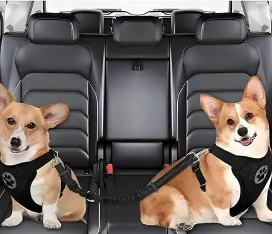 Double Dog Cat Seat Belts, Car Headrest Restraint Adjustable Travel Leash,Safety Elastic Leads Splitter Connect Vehicle Seatbelt Harness for 2 Dogs (Blue) - Black image number 2