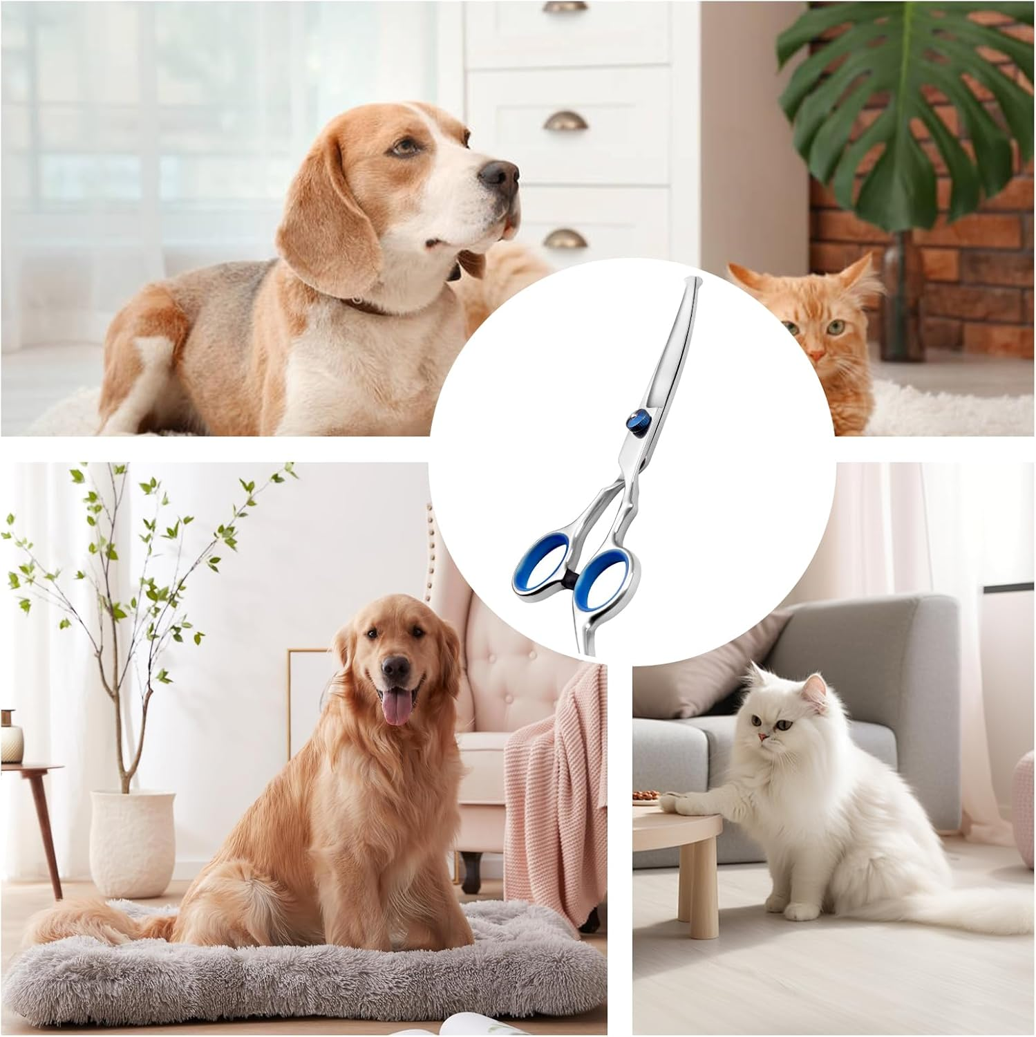 Lithyc Dog Scissors, Pet Grooming Scissors, Curved Dog Scissors, Cat Grooming Scissors, Professional round Grooming Scissors, Pet Care Tools Made of Stainless Steel image number 6