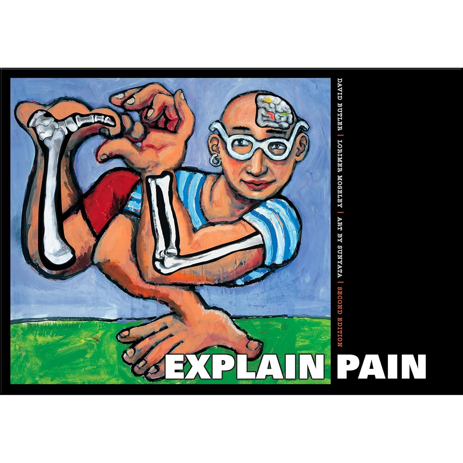 Explain Pain (8311) image number 5