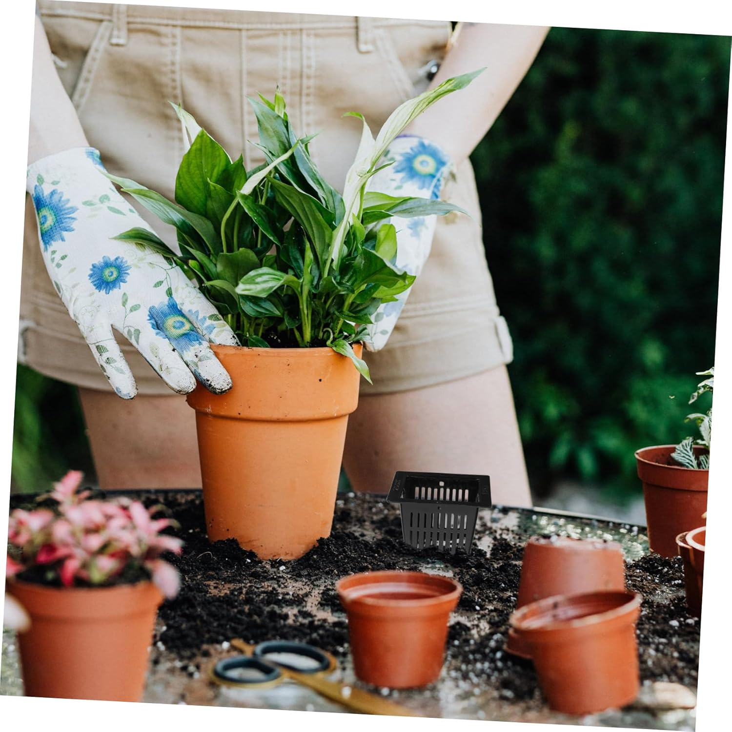 NULYLU 12Pcs Black Square Hydroponic Pots Slotted Mesh Nursery Planters for Balcony Water Culture Gardening Lettuce Vegetables