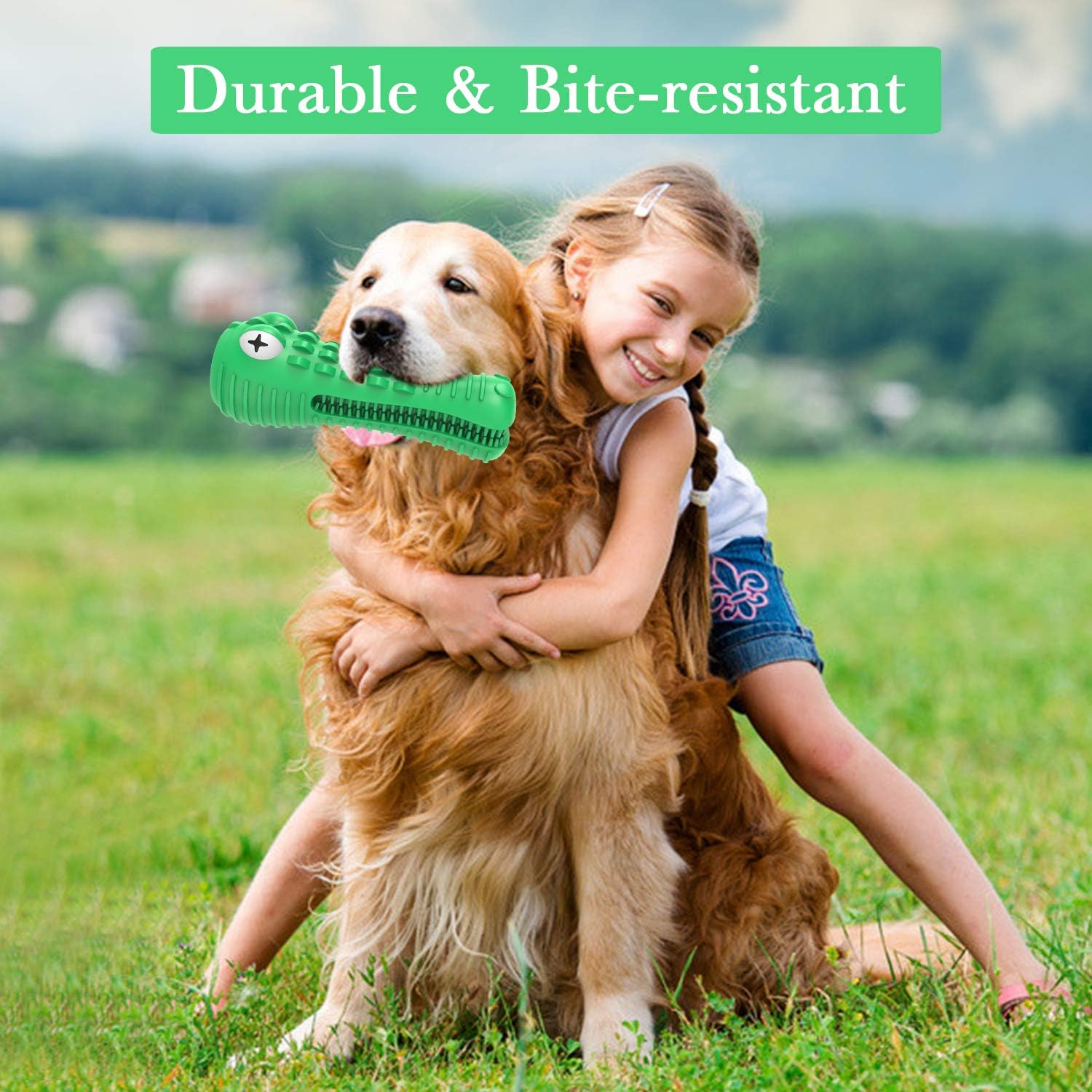 Squeaky Dog Toys for Large Medium Dogs,Tough Indestructible Dog Chew Toys Dog Teeth Cleaning Toothbrush for Dog Dental Care/0 image number 3