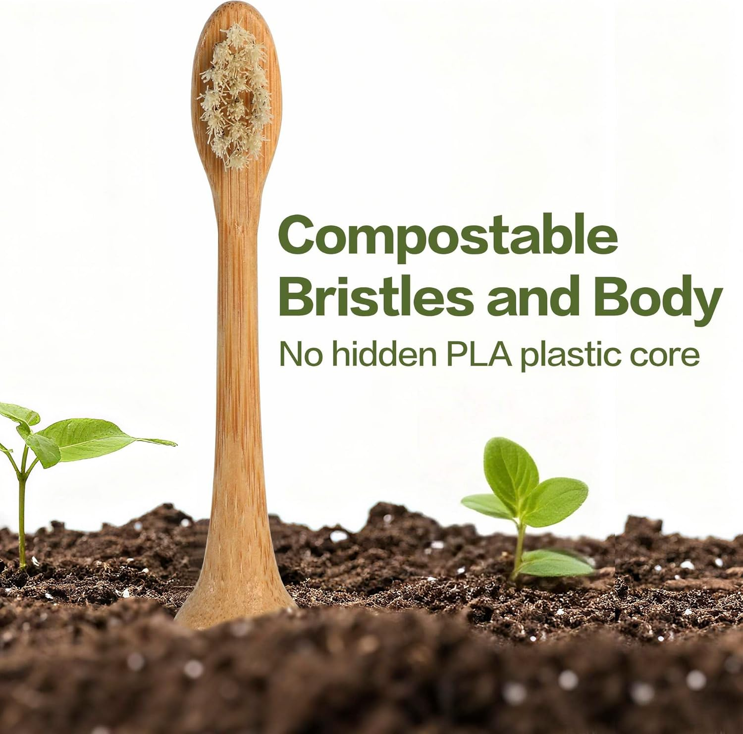 Gaia Guy Natural Bamboo & Boar Bristle Electric Toothbrush Head 4-Pack | Compatible with Philips Sonicare | Truly Biodegradable (No Hidden PLA & No Nylon) for an Eco-Friendly Clean image number 3