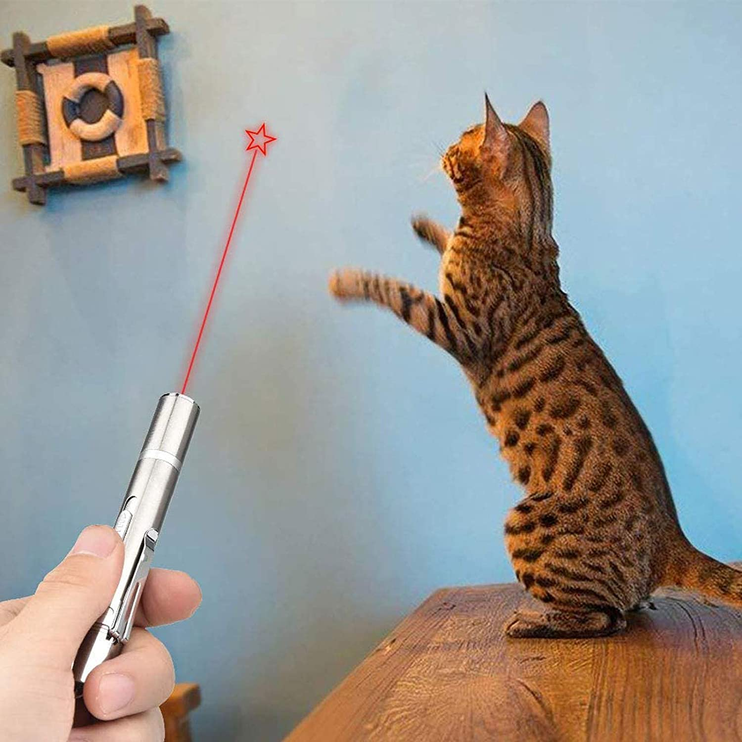 Cat Toys for Indoor Pets,Laser Pointer for Cats Dogs,Interactive Pet Toy, Rechargeable,Make Your Pet Play with You (2 PCS)