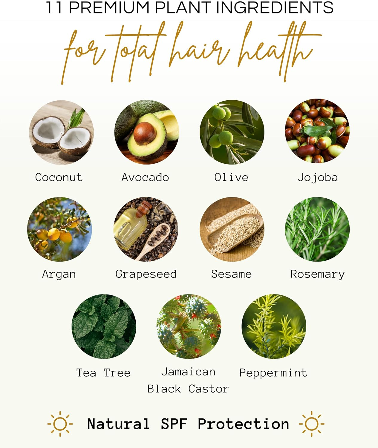 Righteous Roots Rx Hair Oil for Hair Growth, anti Frizz and Thickener Best for Curly, Wavy Natural Hair and Beards. 4Fl Oz (Previously Known as Hair RX) image number 3