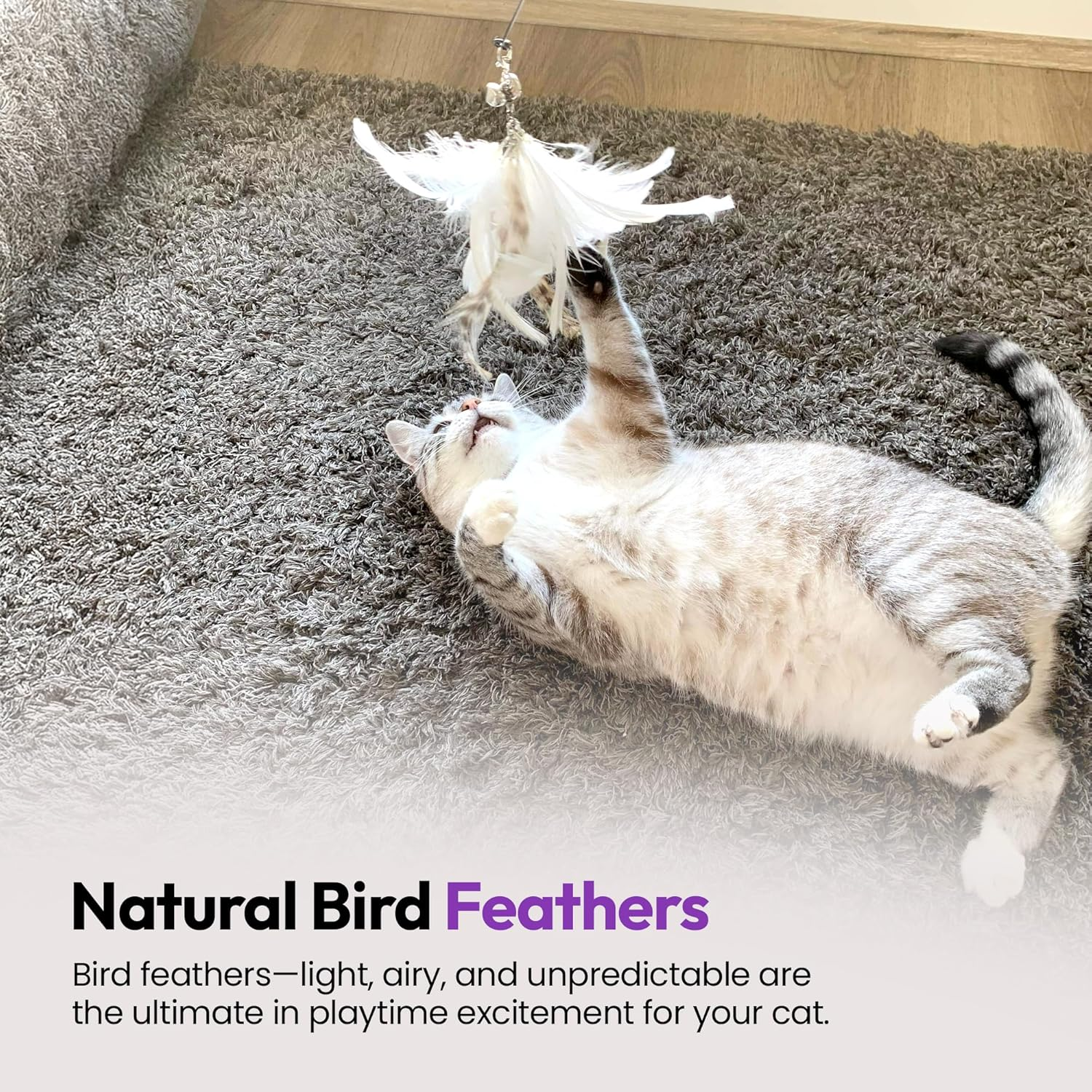 PURRZ Feather Toy Attachments for Cats, 5-Pack &ndash; Jingle Jangle Wand Refills with Kookaburra-Coloured Feathers and Bells for Interactive Cat Play &ndash; Safe and Durable Indoor Cat Toys