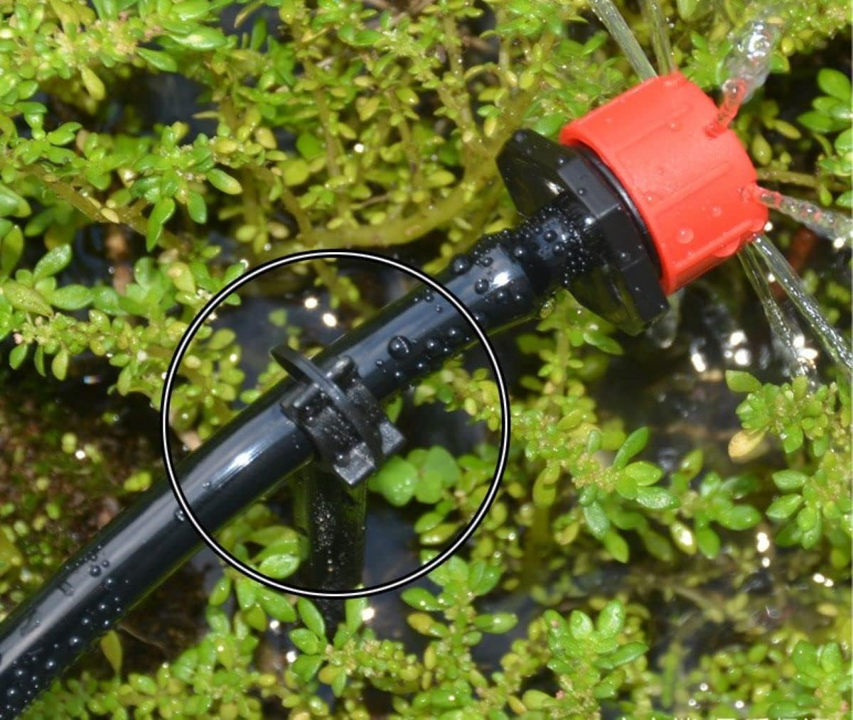 Balter-D 200 Pack 1/4 Inch Drip Support Stakes, Black, Flat Top, Polypropylene (PP) Material image number 1